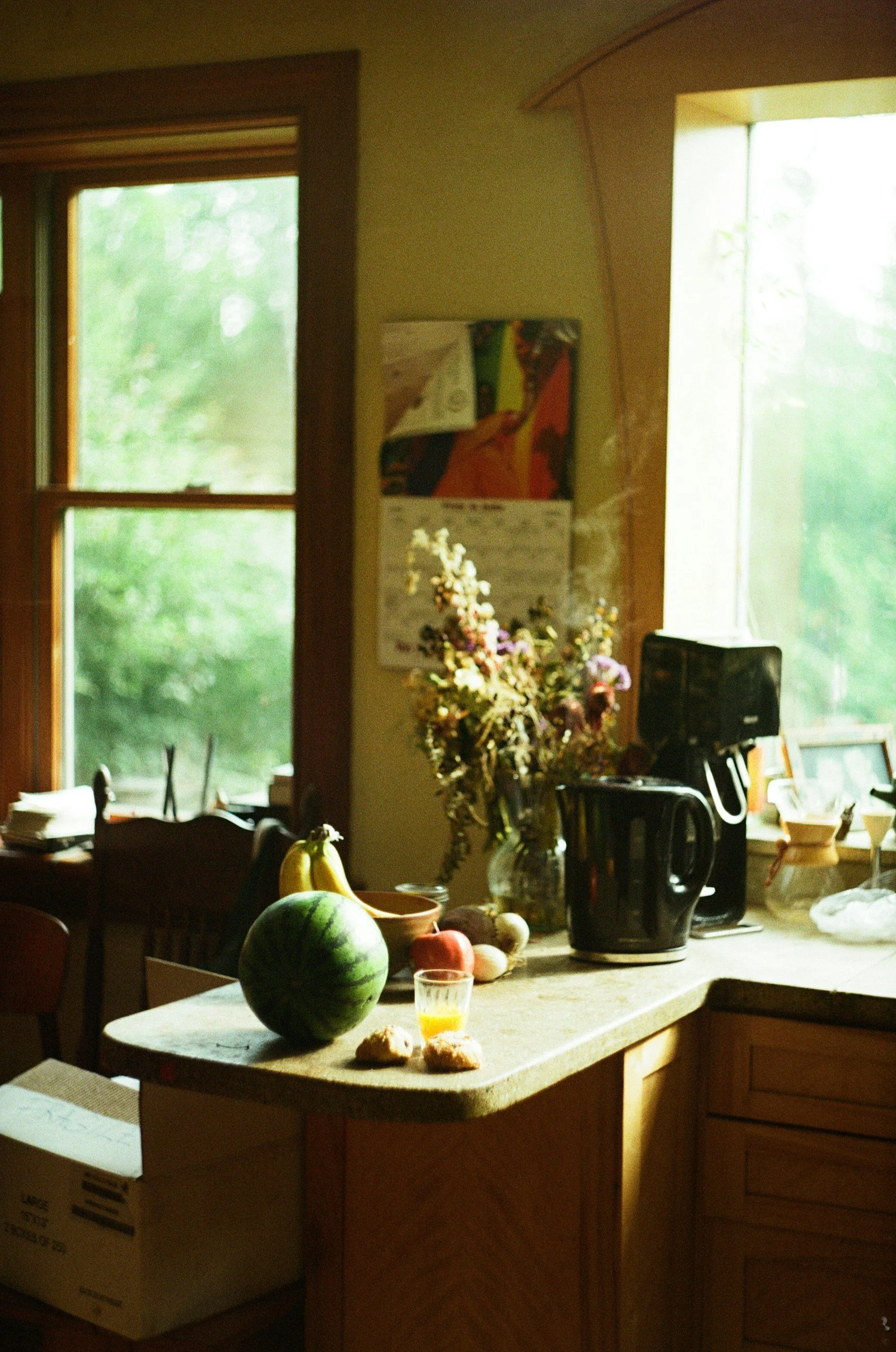 Your Home Is Already Discipling Your Children(Whether You Realize It or Not)
