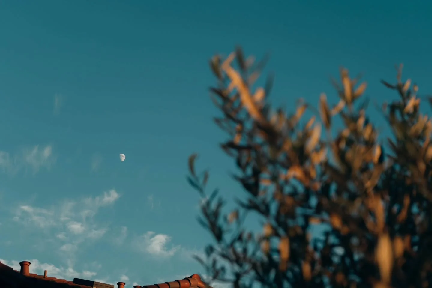 Luna ☆