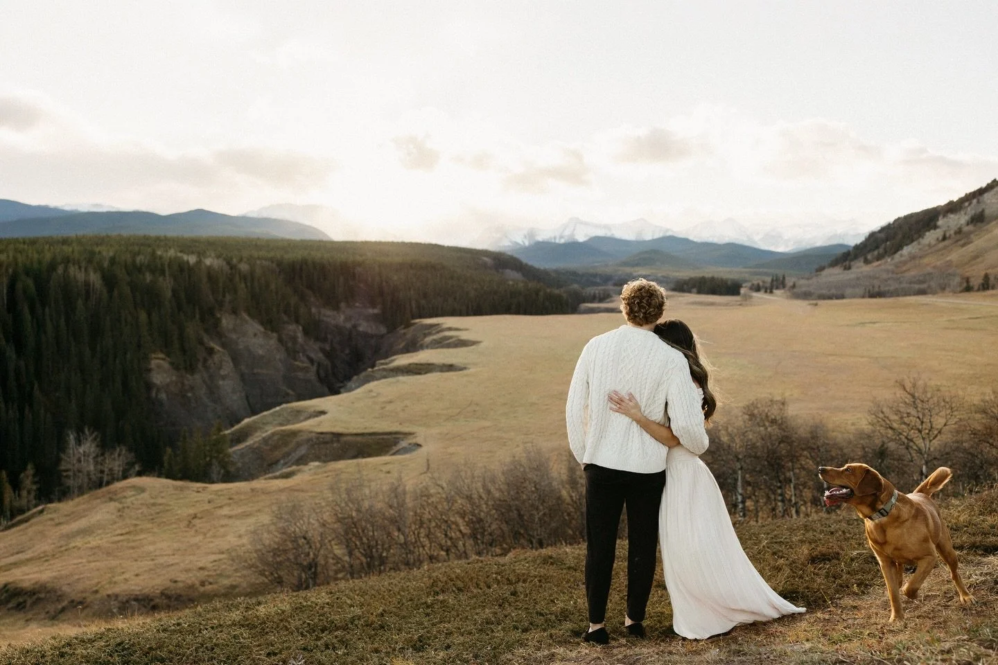 one lifetime subscription please