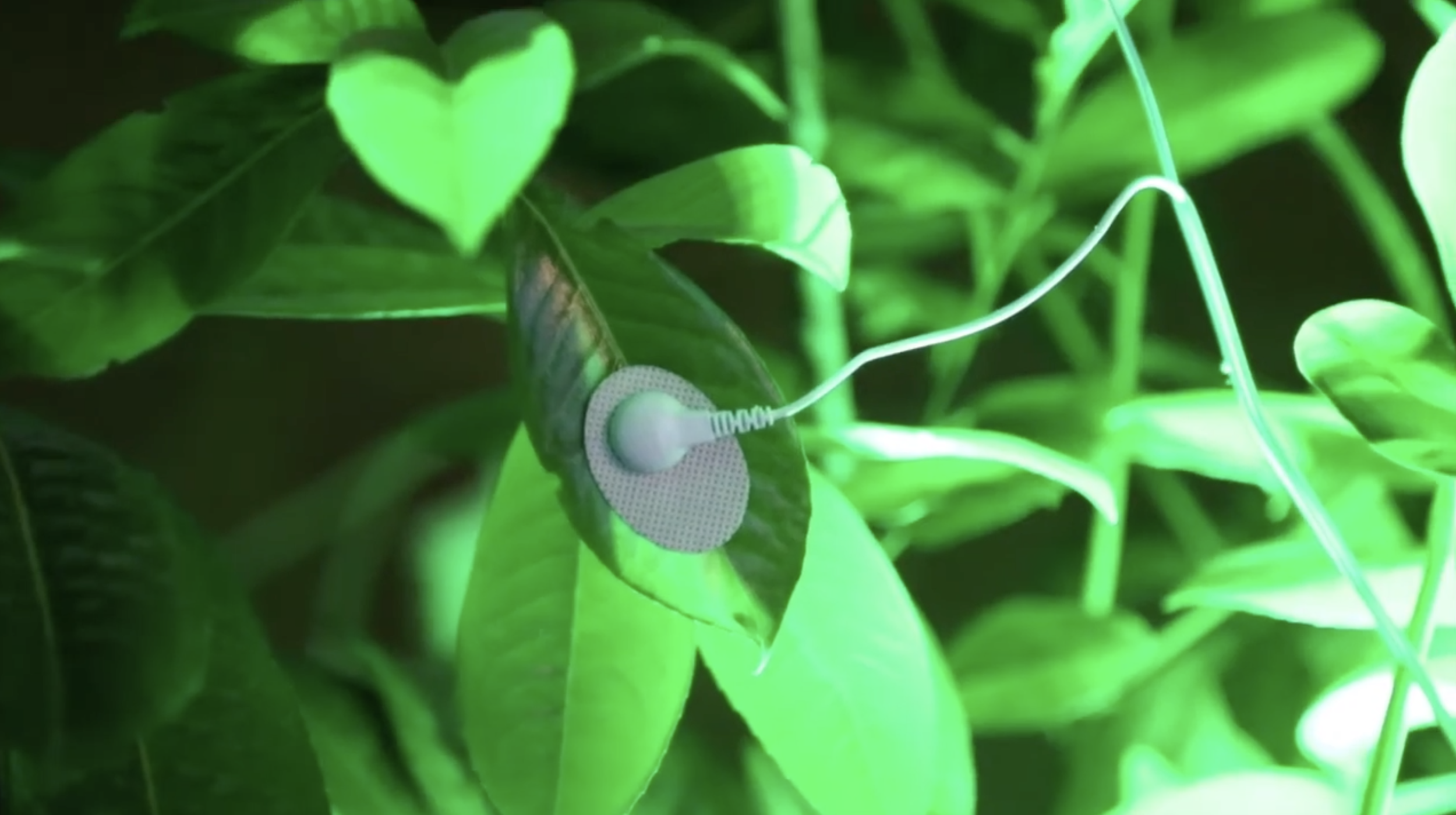 Screenshot 2026-03-21 at 2.40.47 PM.png