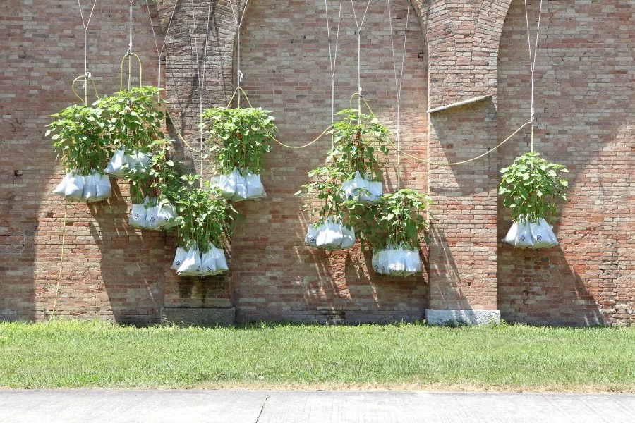 Round the Clock_Scheruebl.JPG