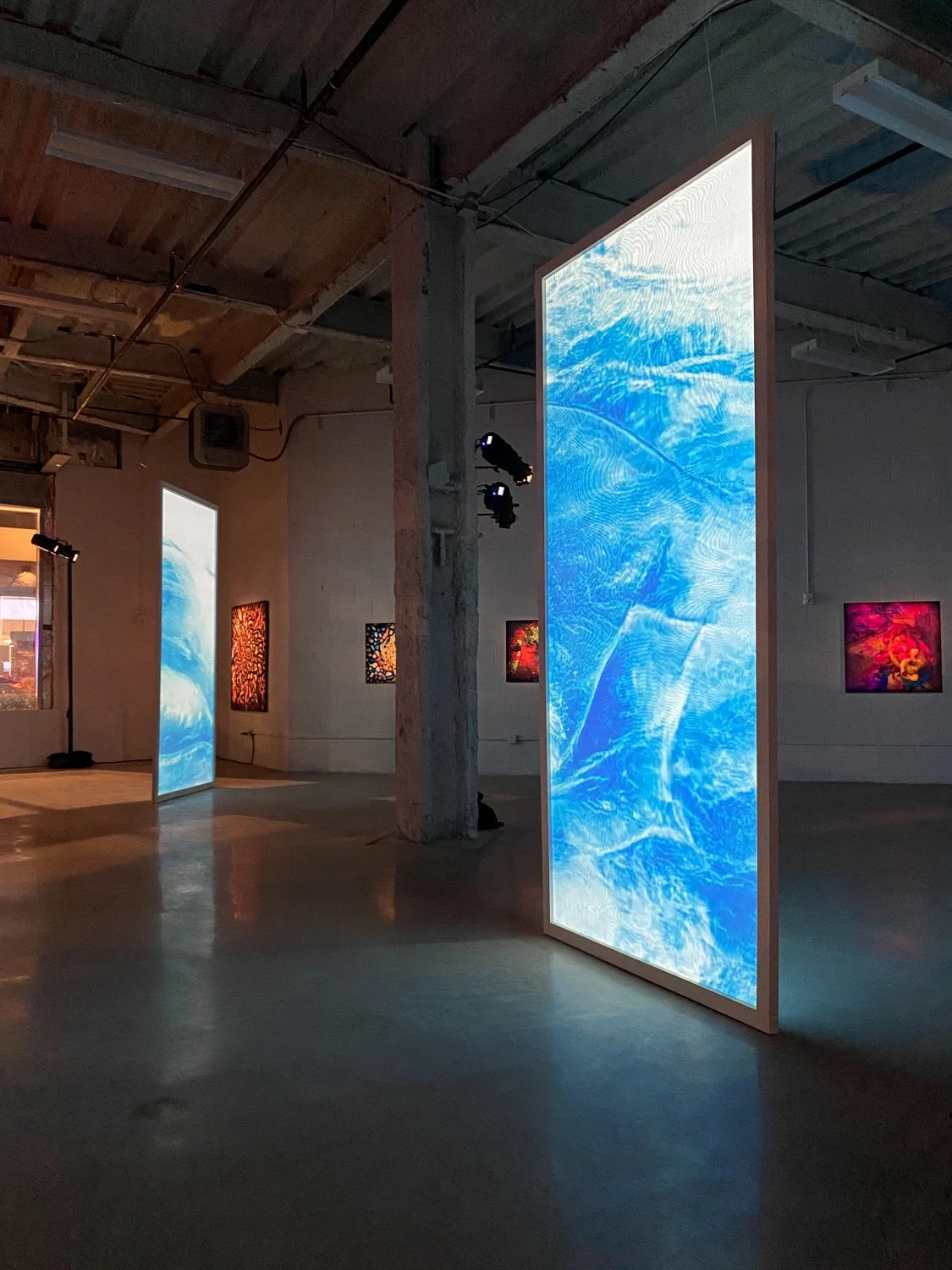 Alex Nero - The Weather Within Exhibit --1770.jpg