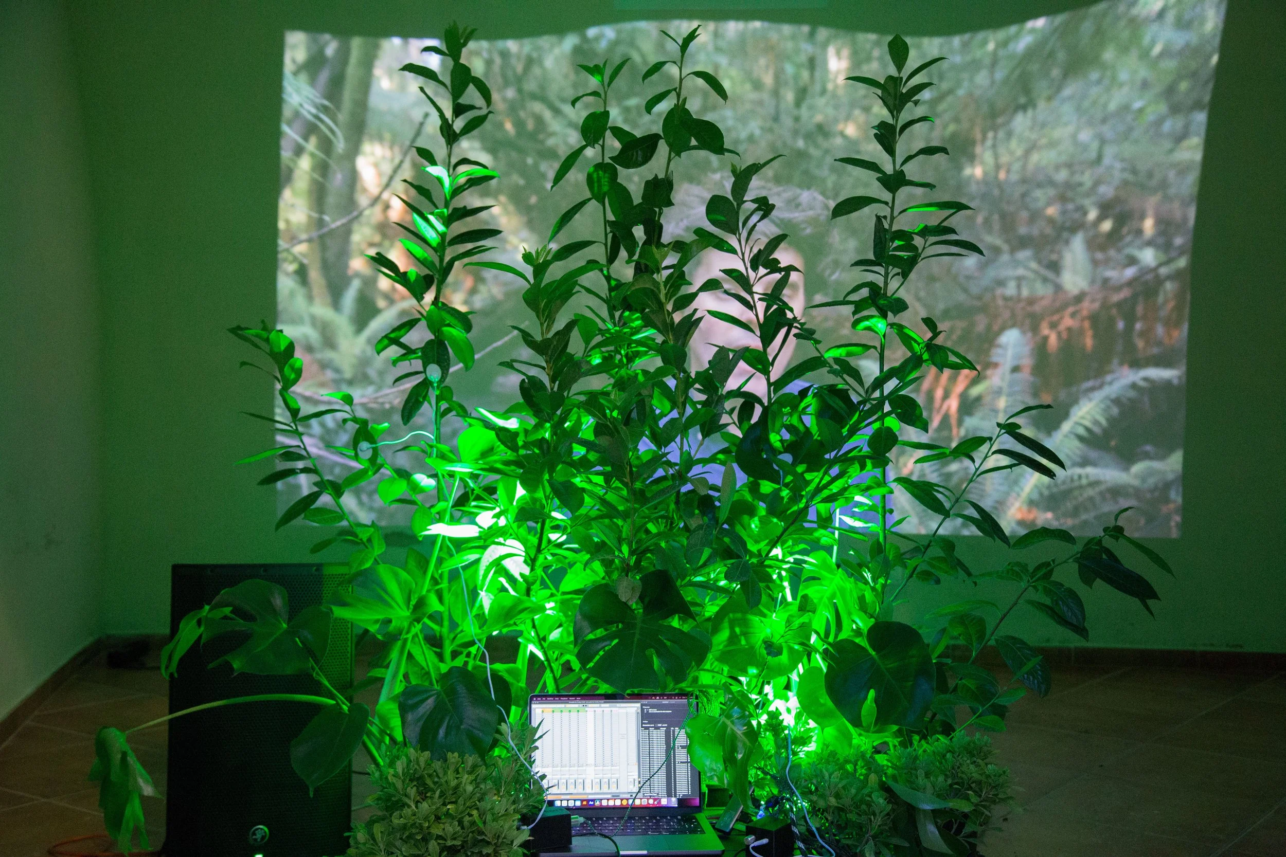 FADA Acerenza 2022 06.jpg