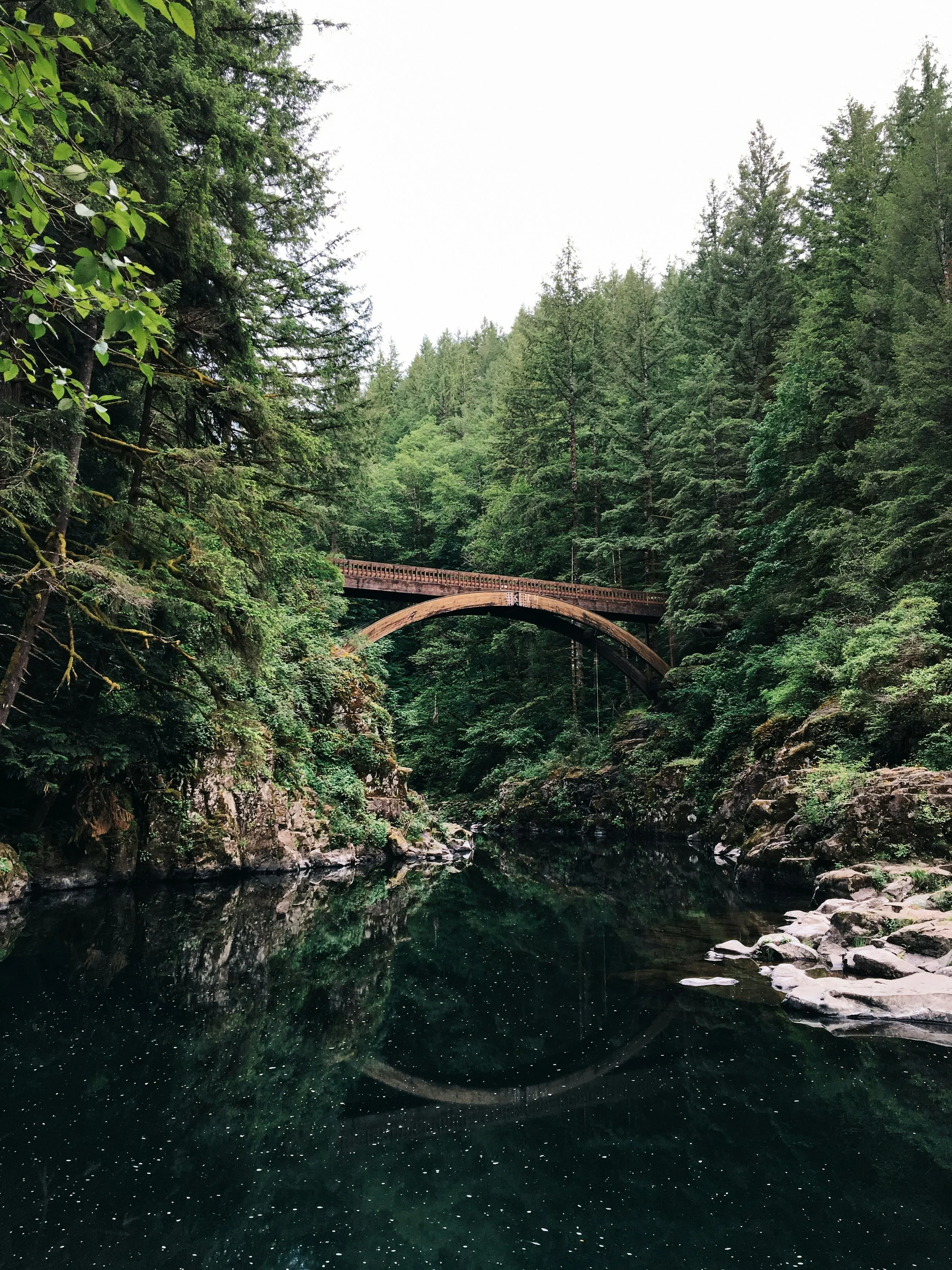 A wooden bridge arches over a calm, reflective river surrounded by lush green trees in a forest.
