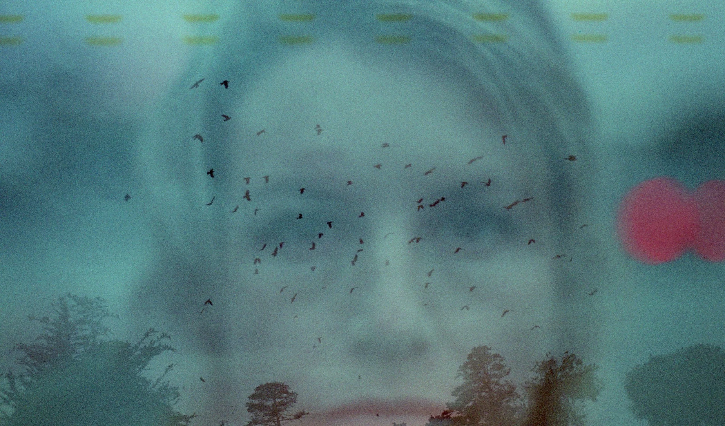 Two photographs merging of a woman standing still & birds flying in the sky. Representing Jen's love for photography. Jen Lescher LCSW offers OCD therapy in Boston, MA for individuals struggling with rumination, anxiety & OCD.