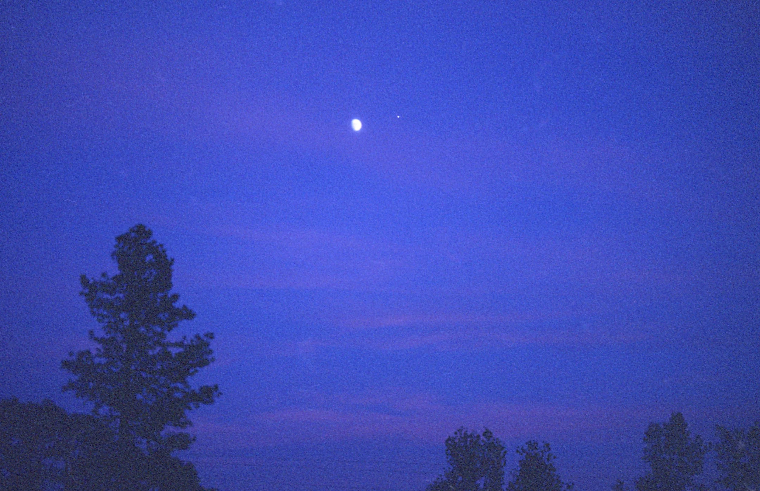 A blue tinted photo with pine trees outlined in the distance & a bright moon in the sky. If you struggle with rumination, an OCD therapist in Boston, MA can help you build awareness around your compulsions. Learn more here!