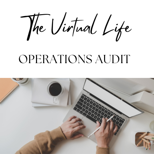 The Virtual Life Logo.png