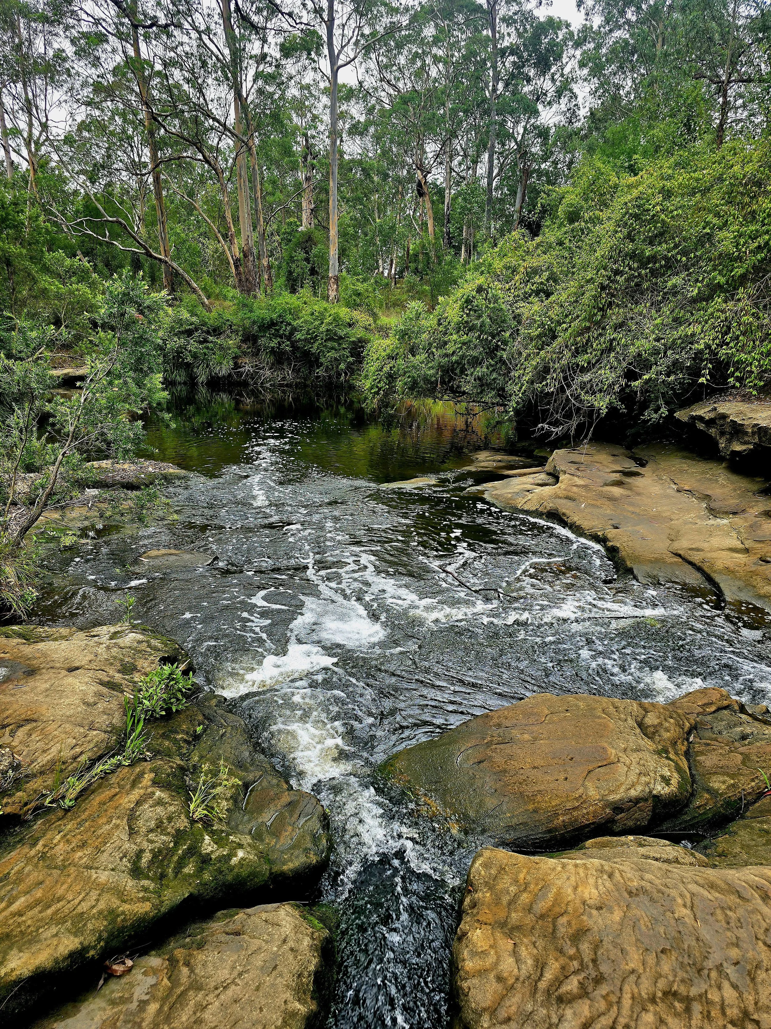 Day 7: Chester Hill to Parramatta via Toongabbie