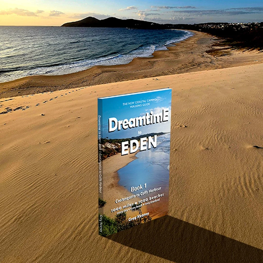 A book titled "Dreamtune to Eden" standing on a sandy beach with footprints, overlooking the ocean at sunset, with a mountain in the background.