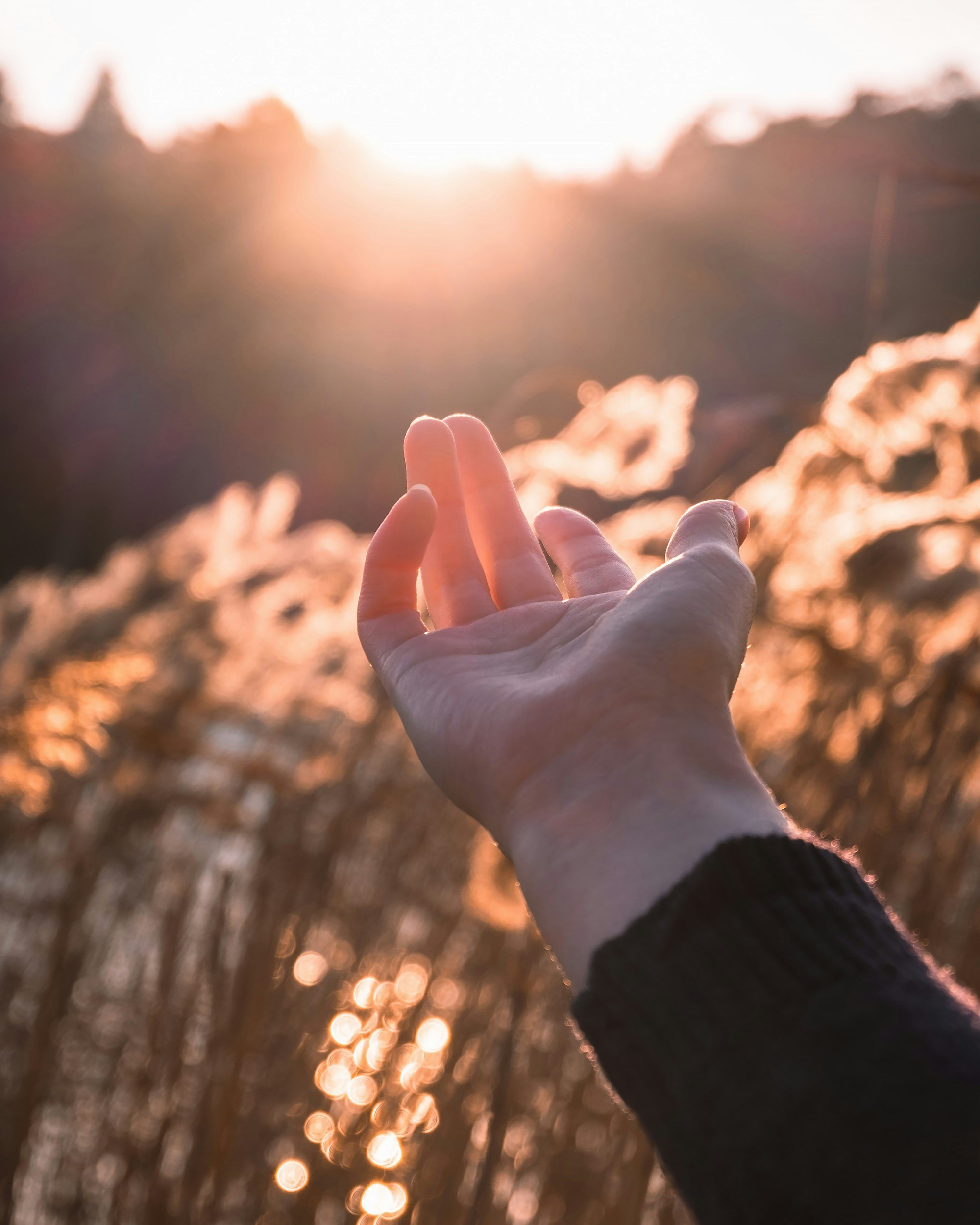 Close-up of a person's hand reaching towards a sunset or sunrise in a natural outdoor setting, with blurred trees and sunlight in the background.