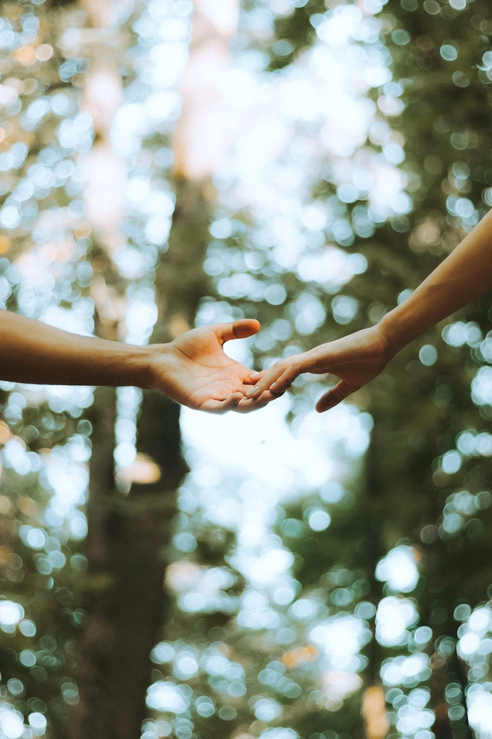 Two hands reaching towards each other with a blurred background of trees and sunlight.