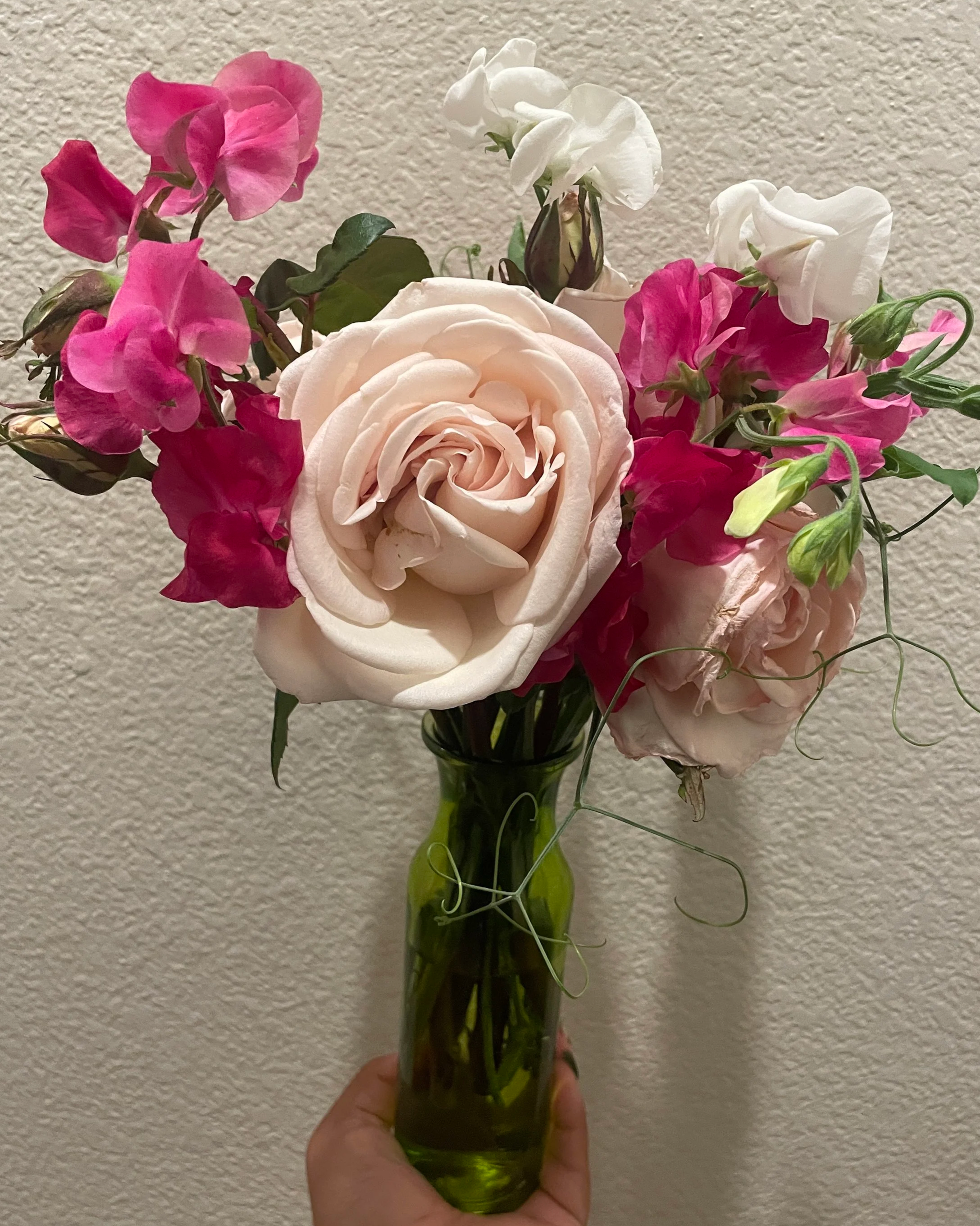 IMG_9597.png