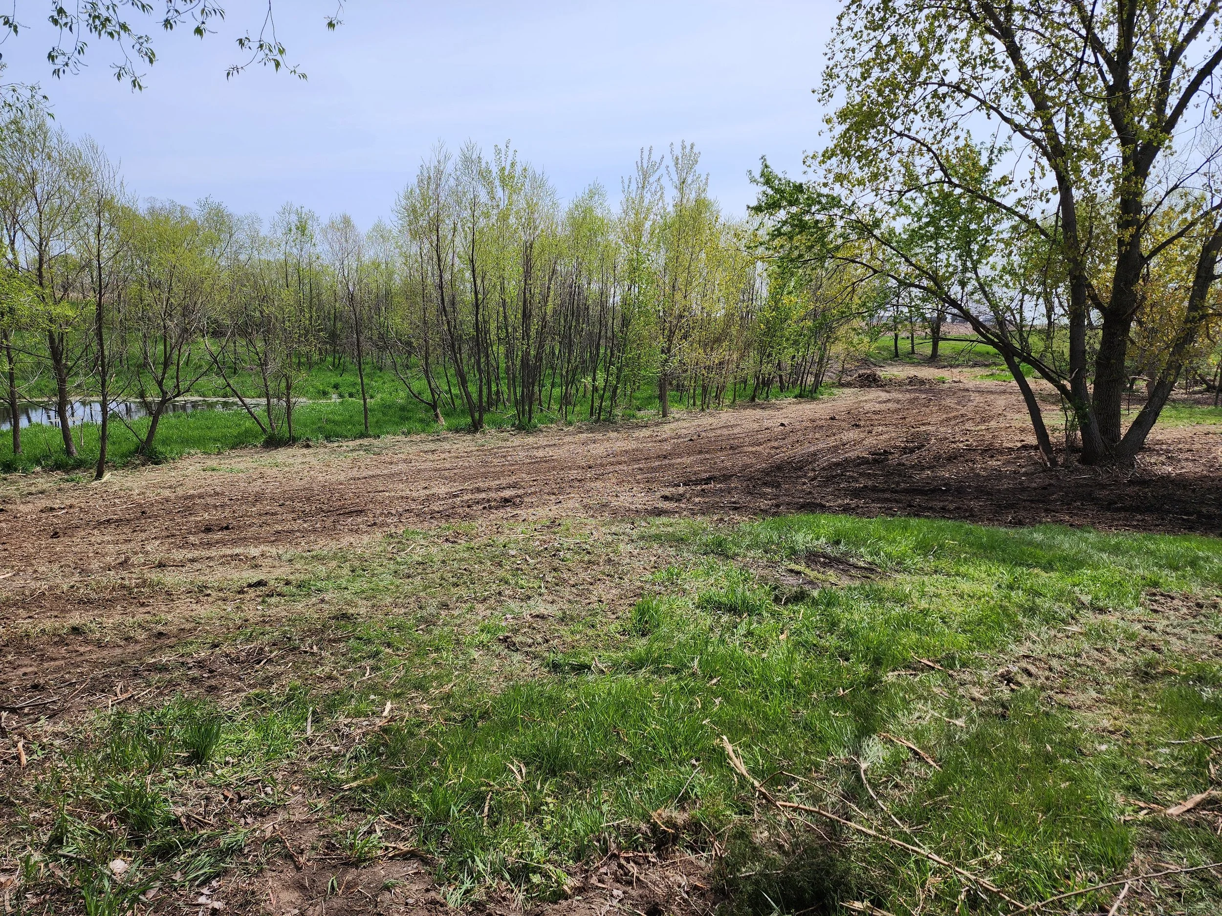 After Pond Clear