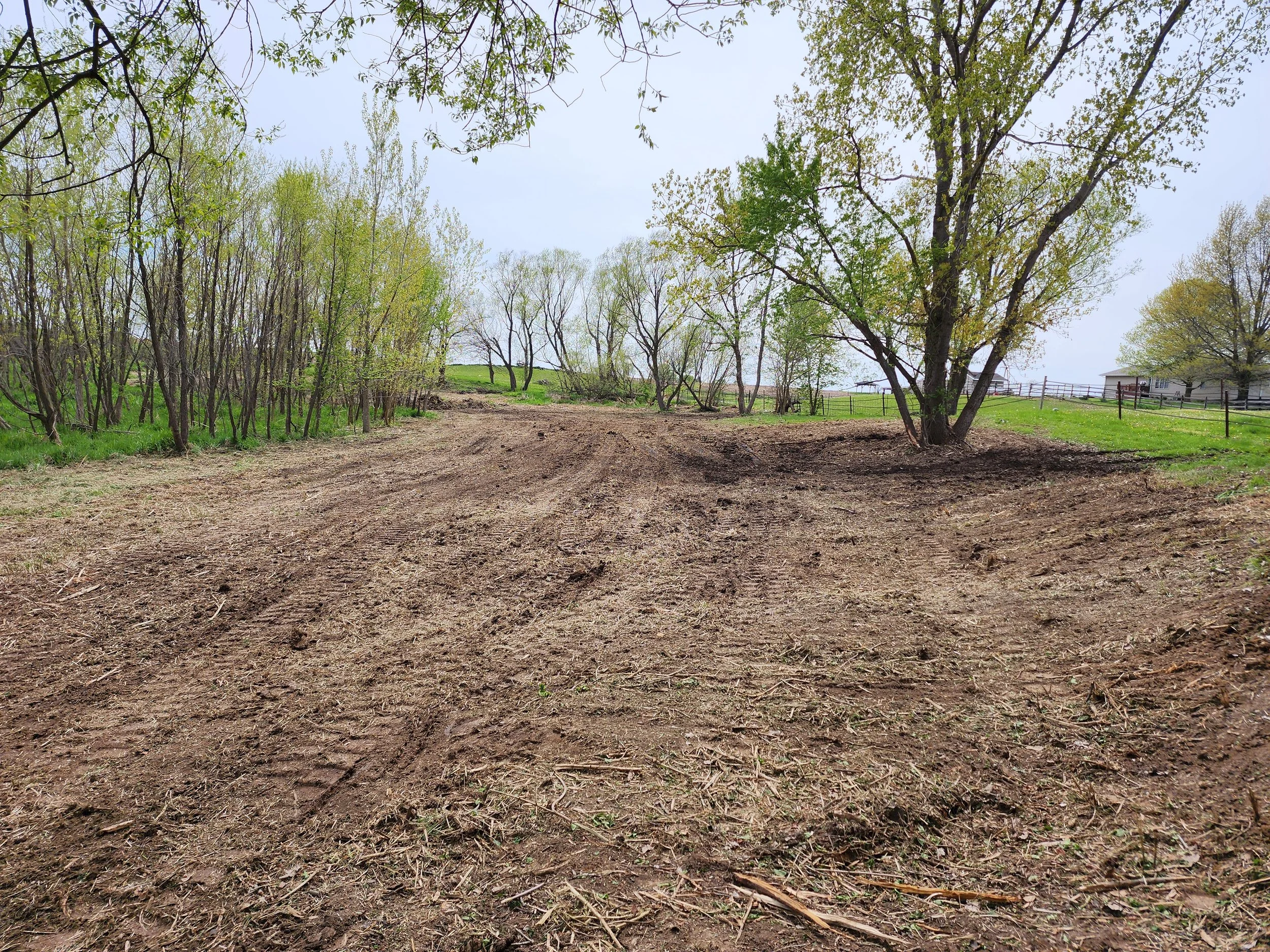 After Pond Clear