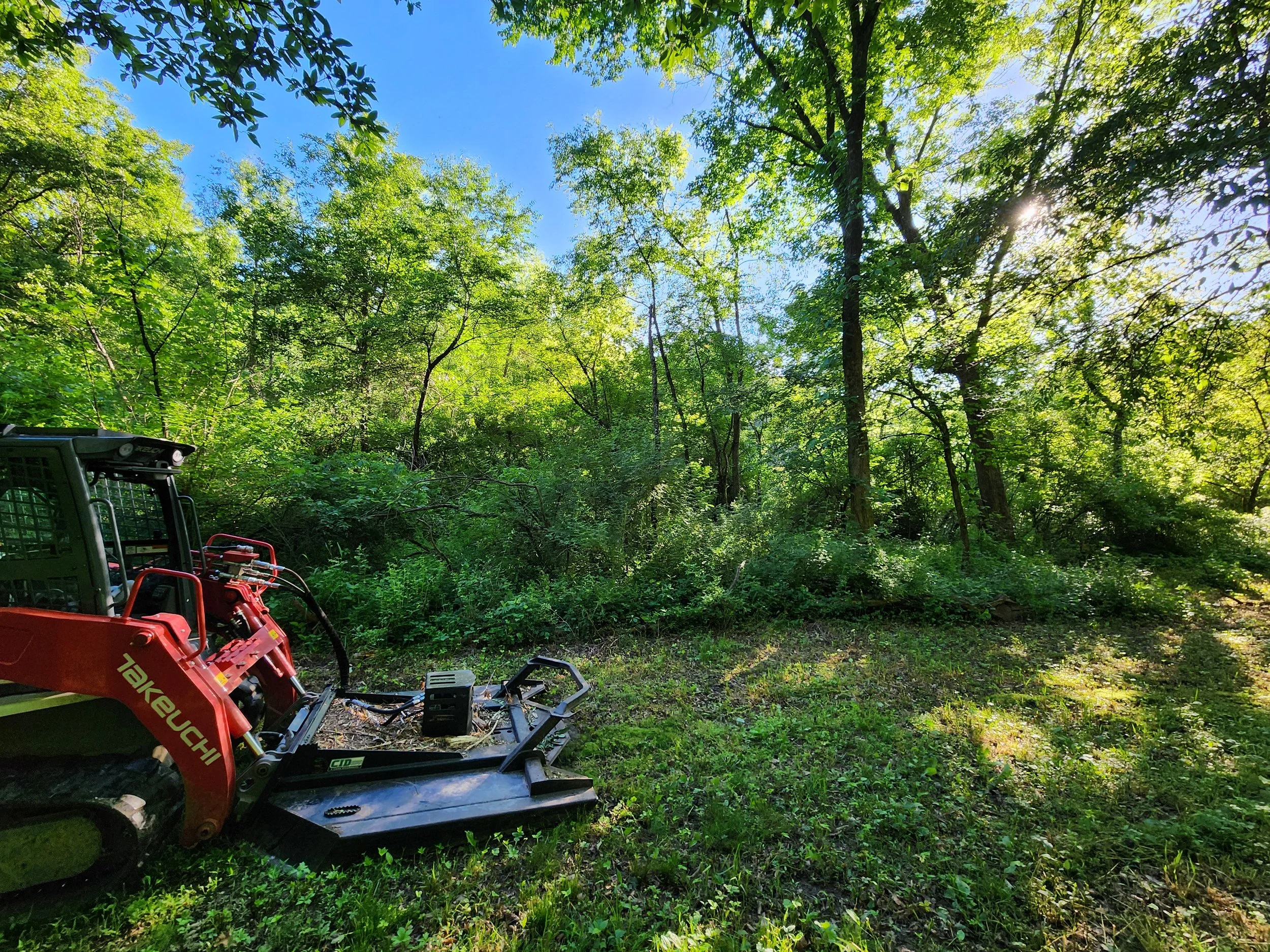 Before Clearing