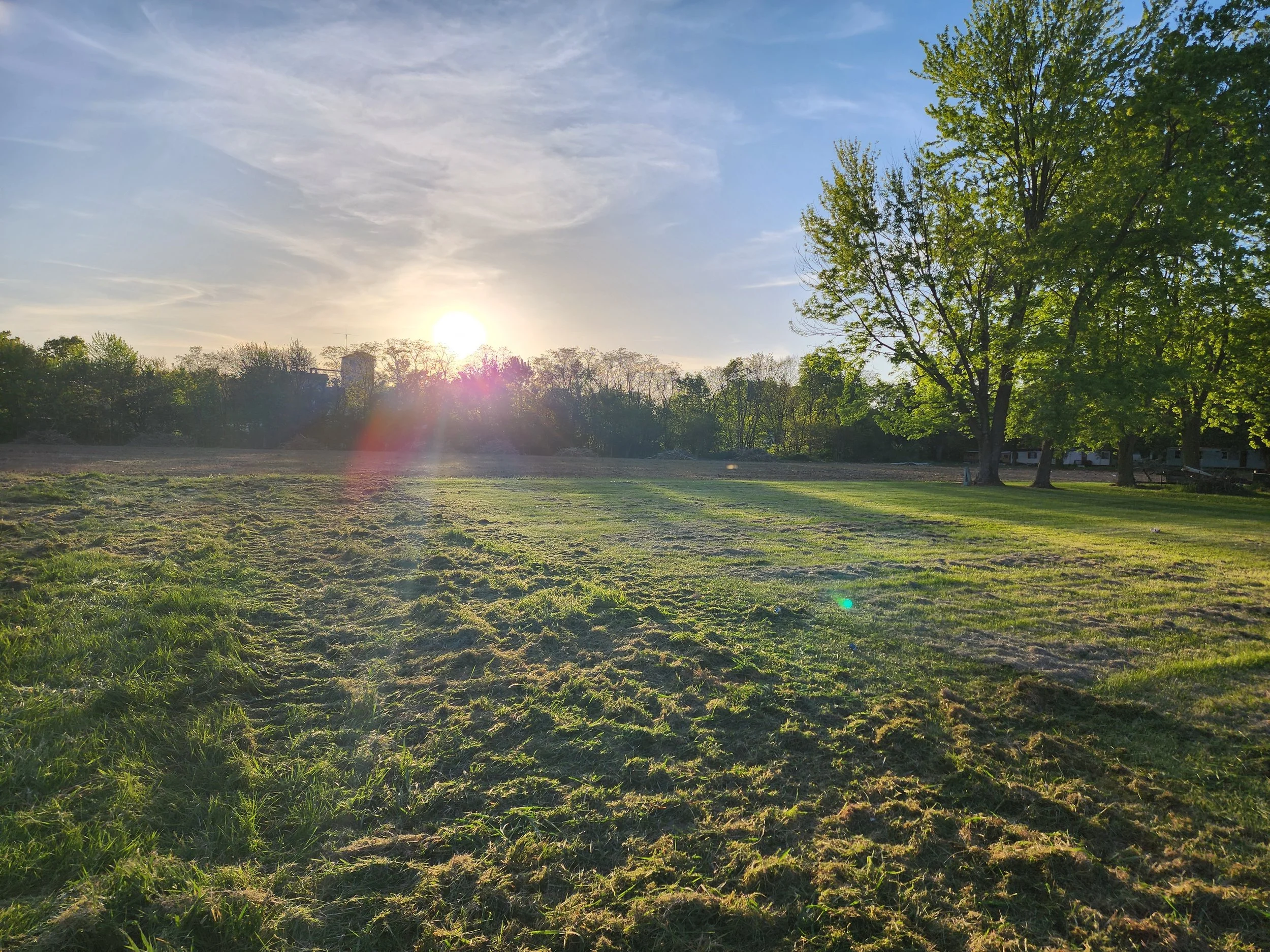 After Overgrown 5-acre Field