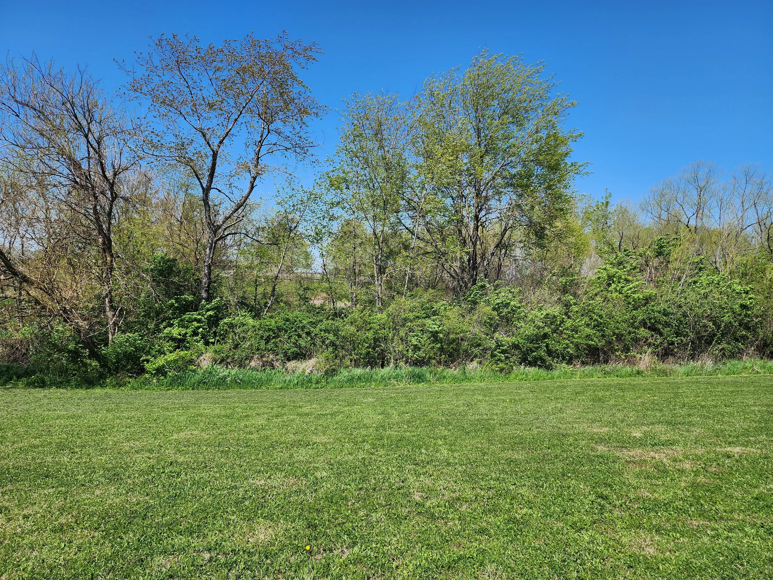 Before Old Pond