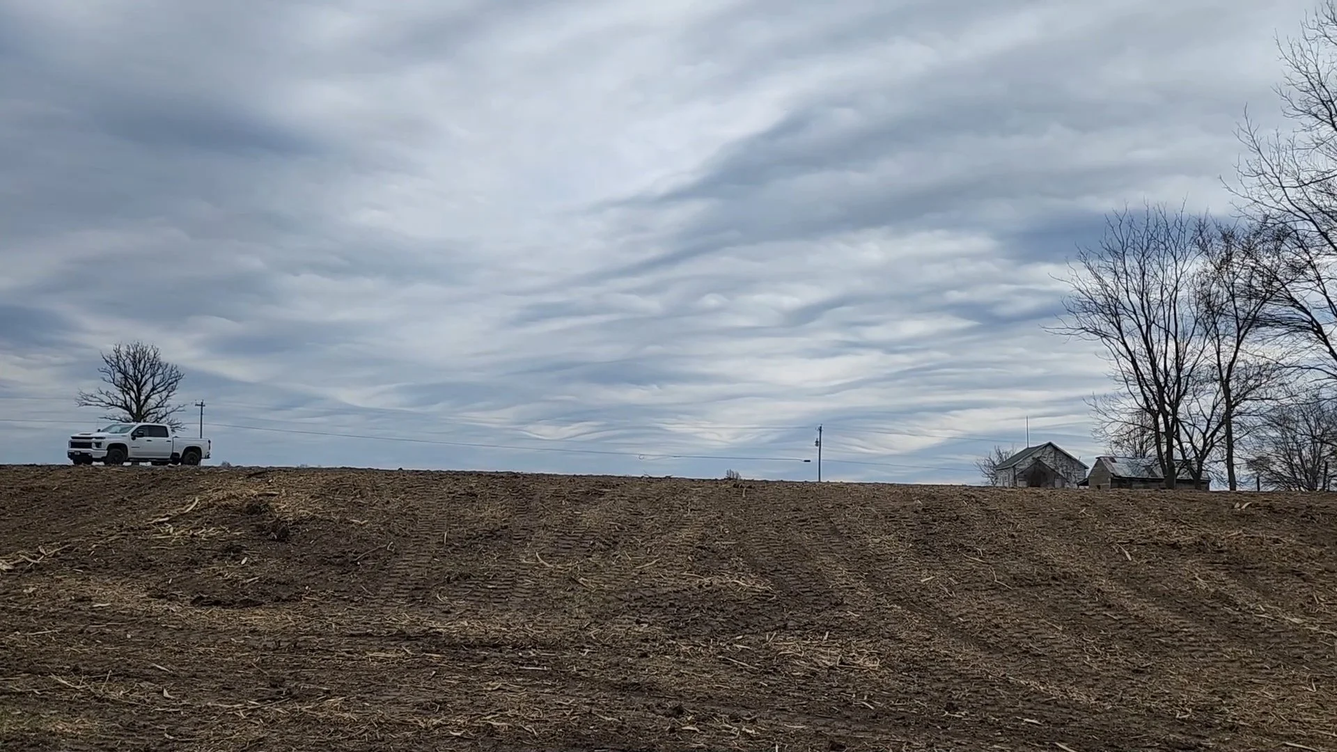 After Pasture and Fence Row