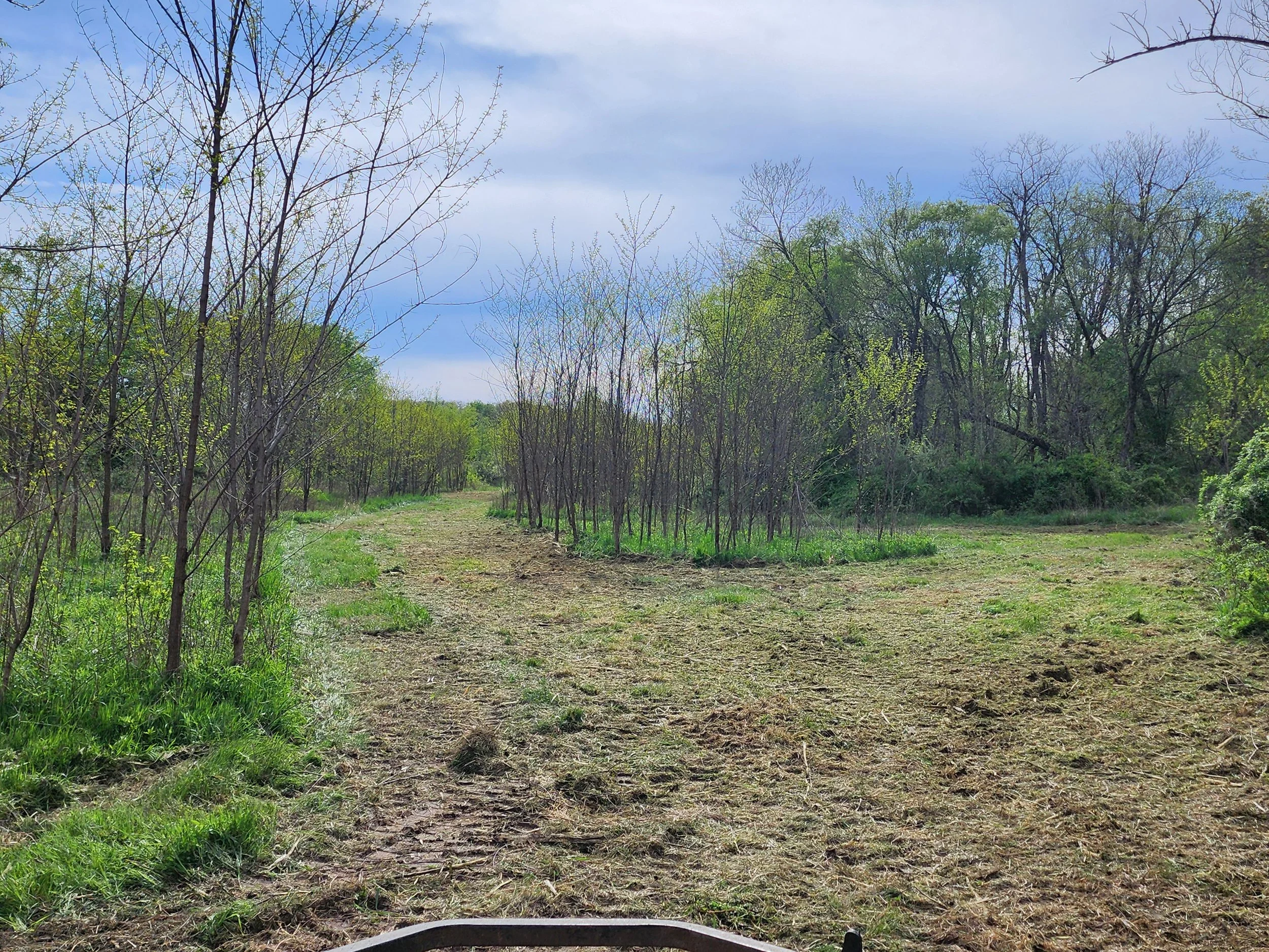 Clearing for ATV Trails