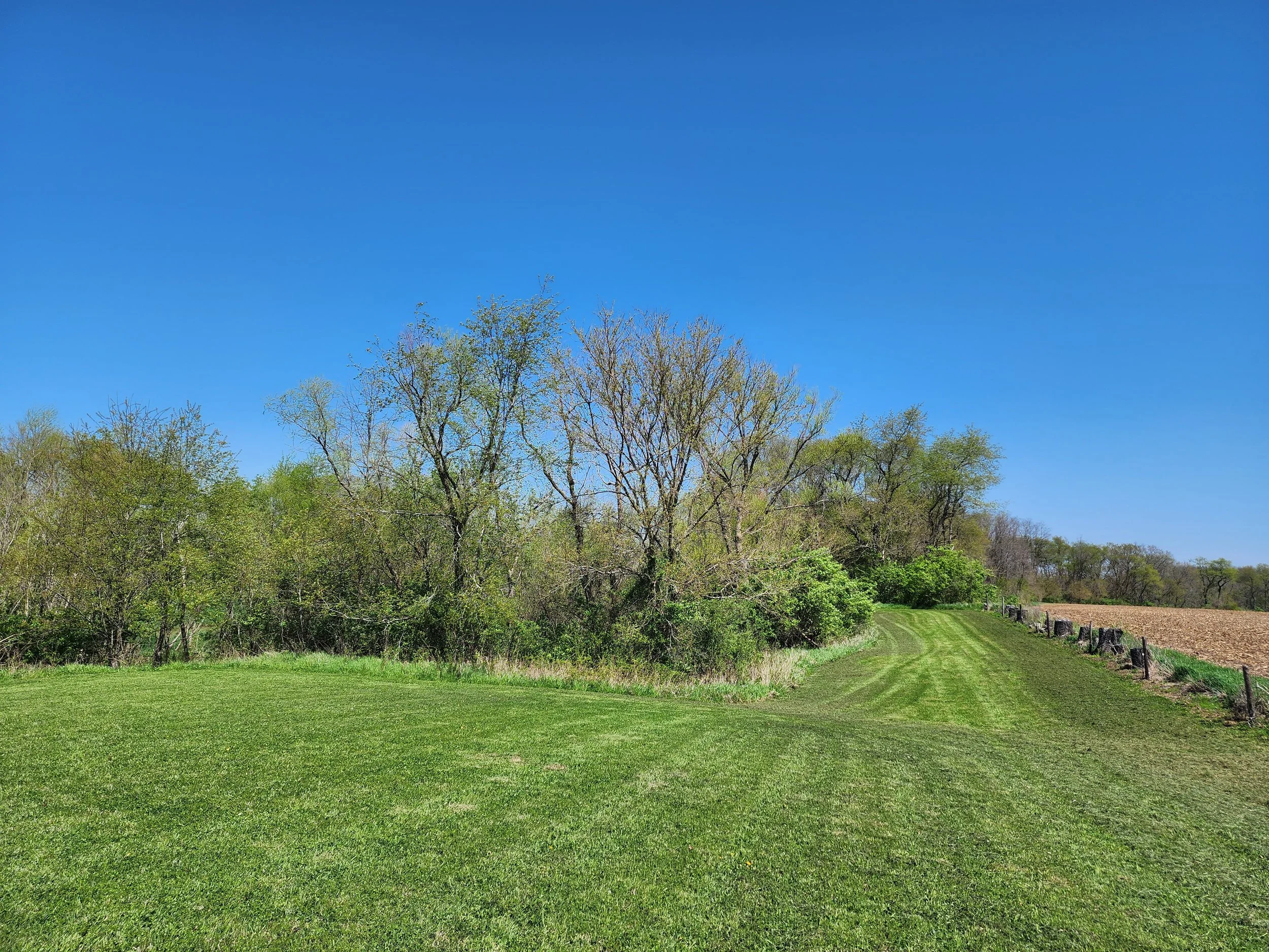 Before Old Pond