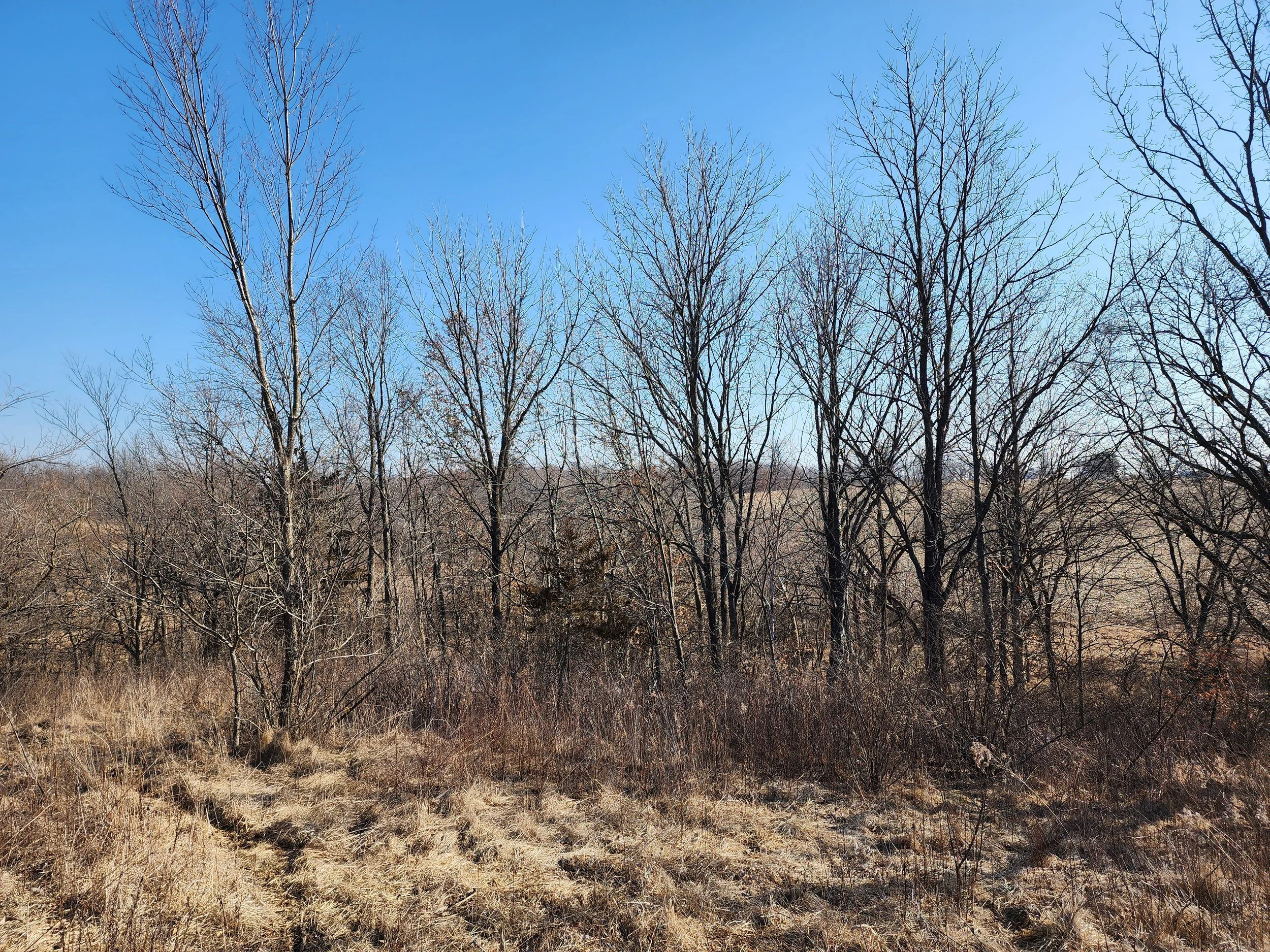 Before Pasture