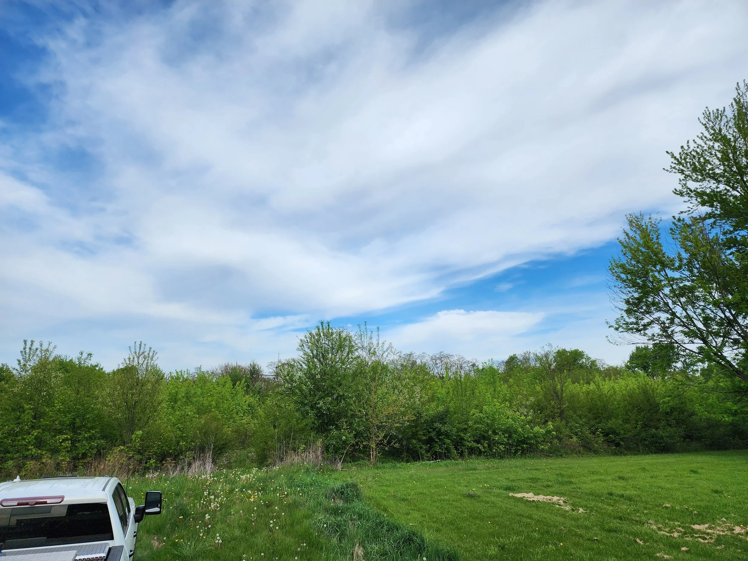 Before Overgrown 5-acre Field