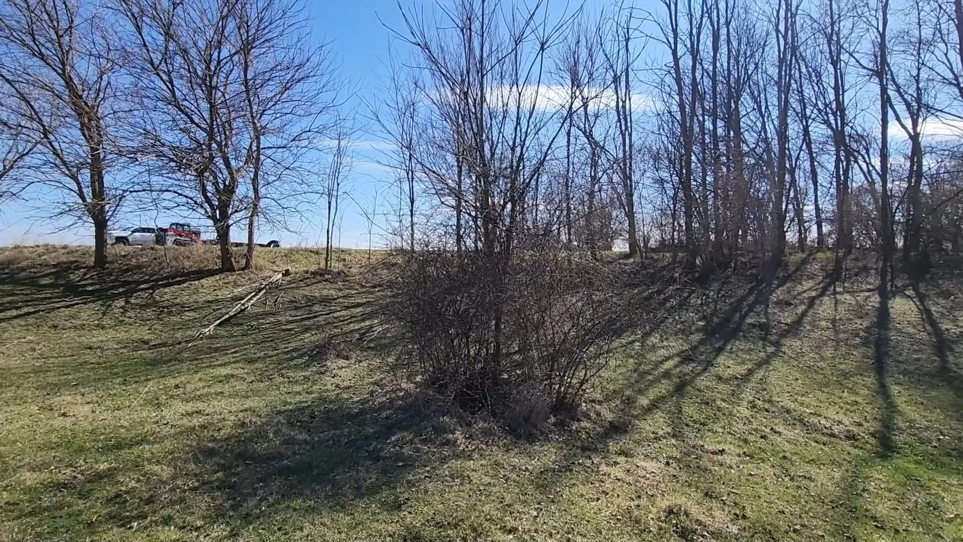 Before Pasture and Fence Row