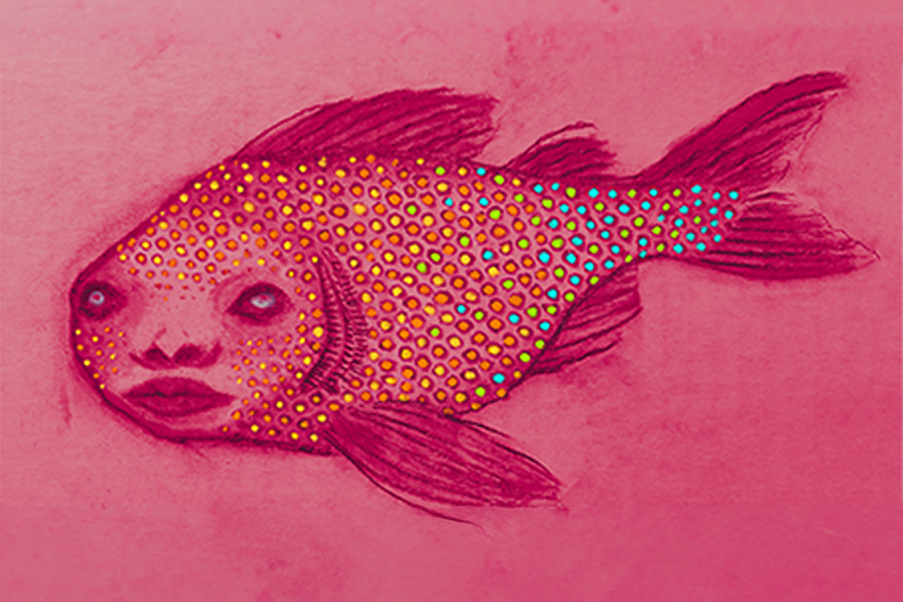 Fish lady print