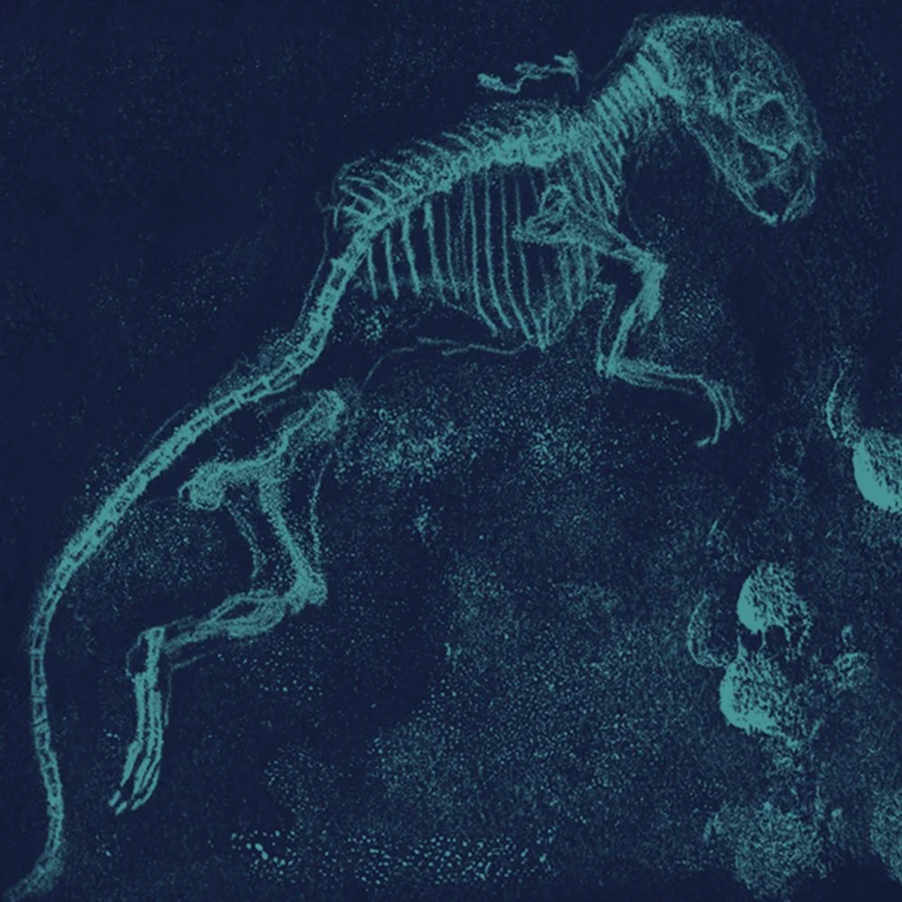 Diaphonized Mouse in Blue