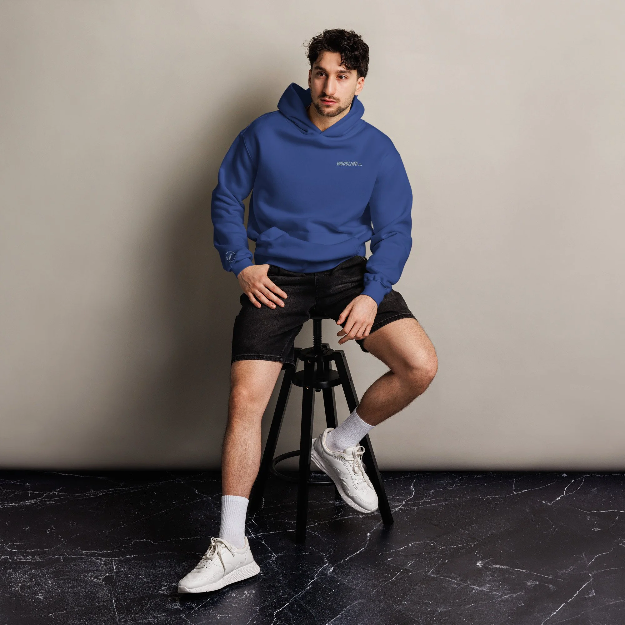 Woodlind Unisex Oversized Embroidered Hoodie