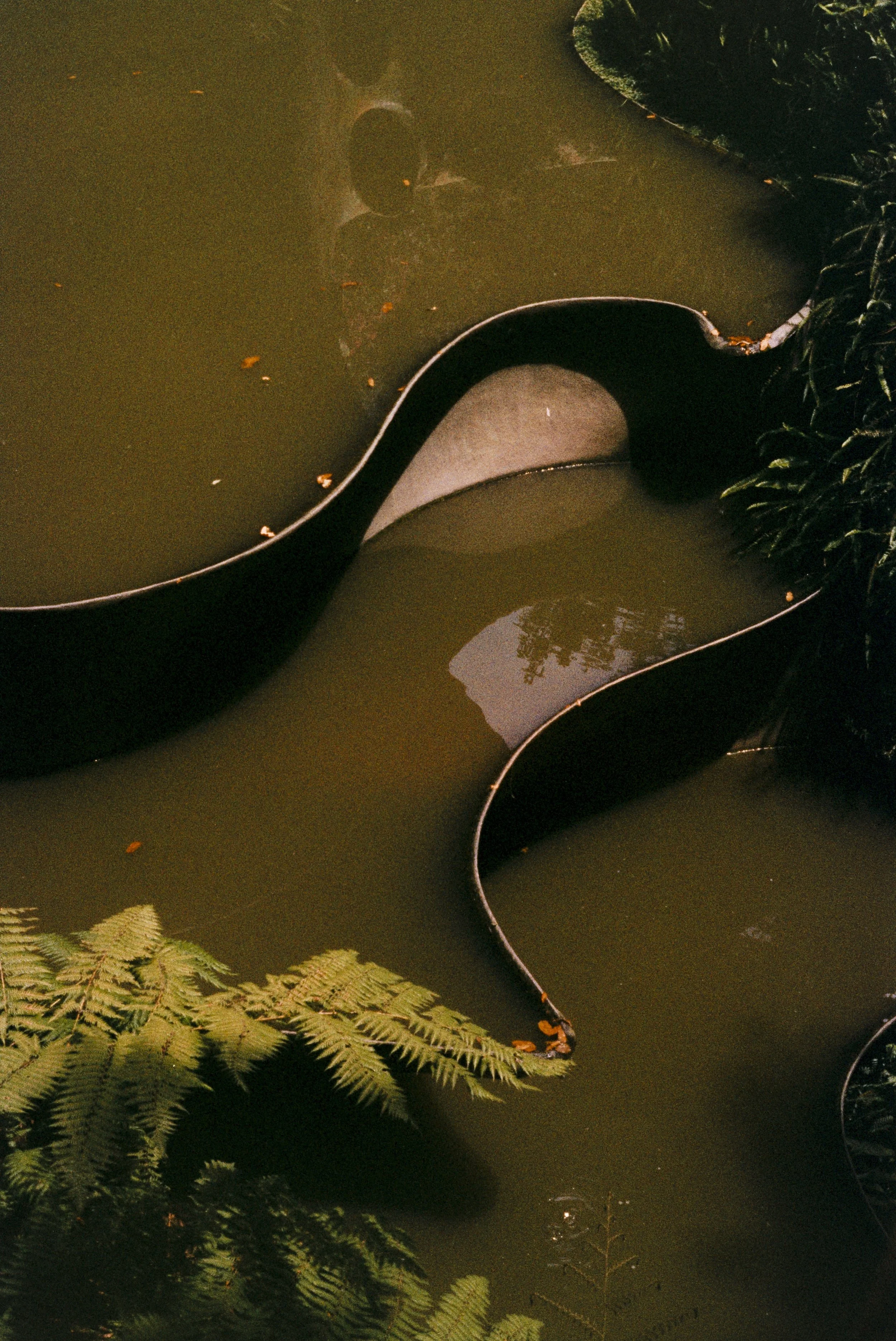 patterns of mexico.jpg