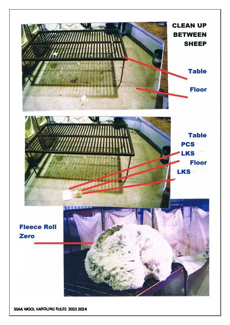 Woolhandling Rules & Scoresheets_Page_25.jpg