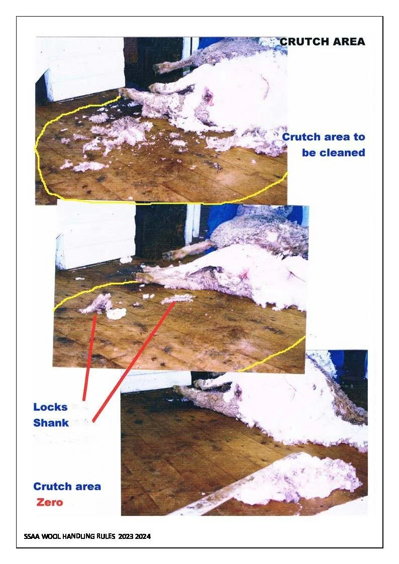 Woolhandling Rules & Scoresheets_Page_21.jpg