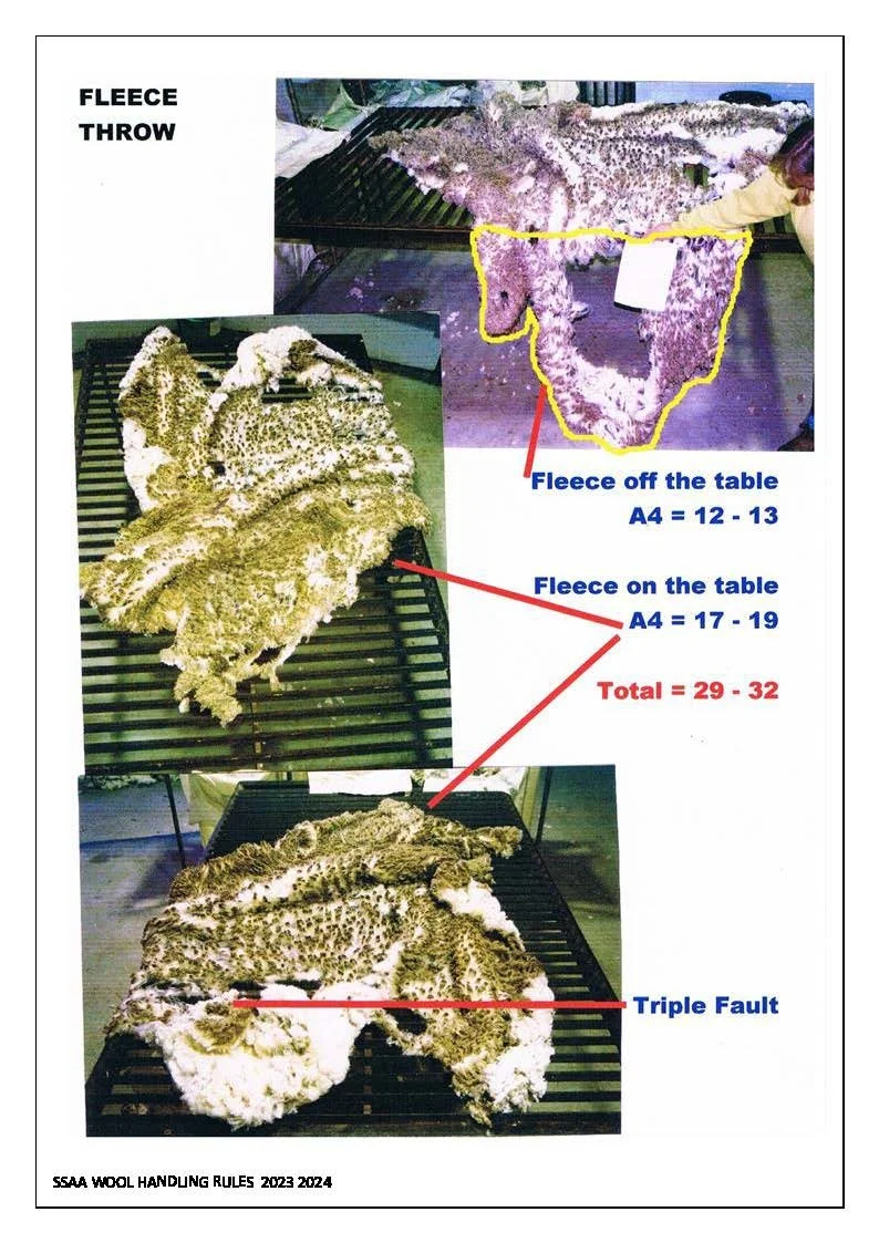 Woolhandling Rules & Scoresheets_Page_23.jpg