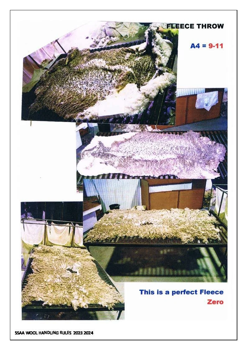 Woolhandling Rules & Scoresheets_Page_24.jpg