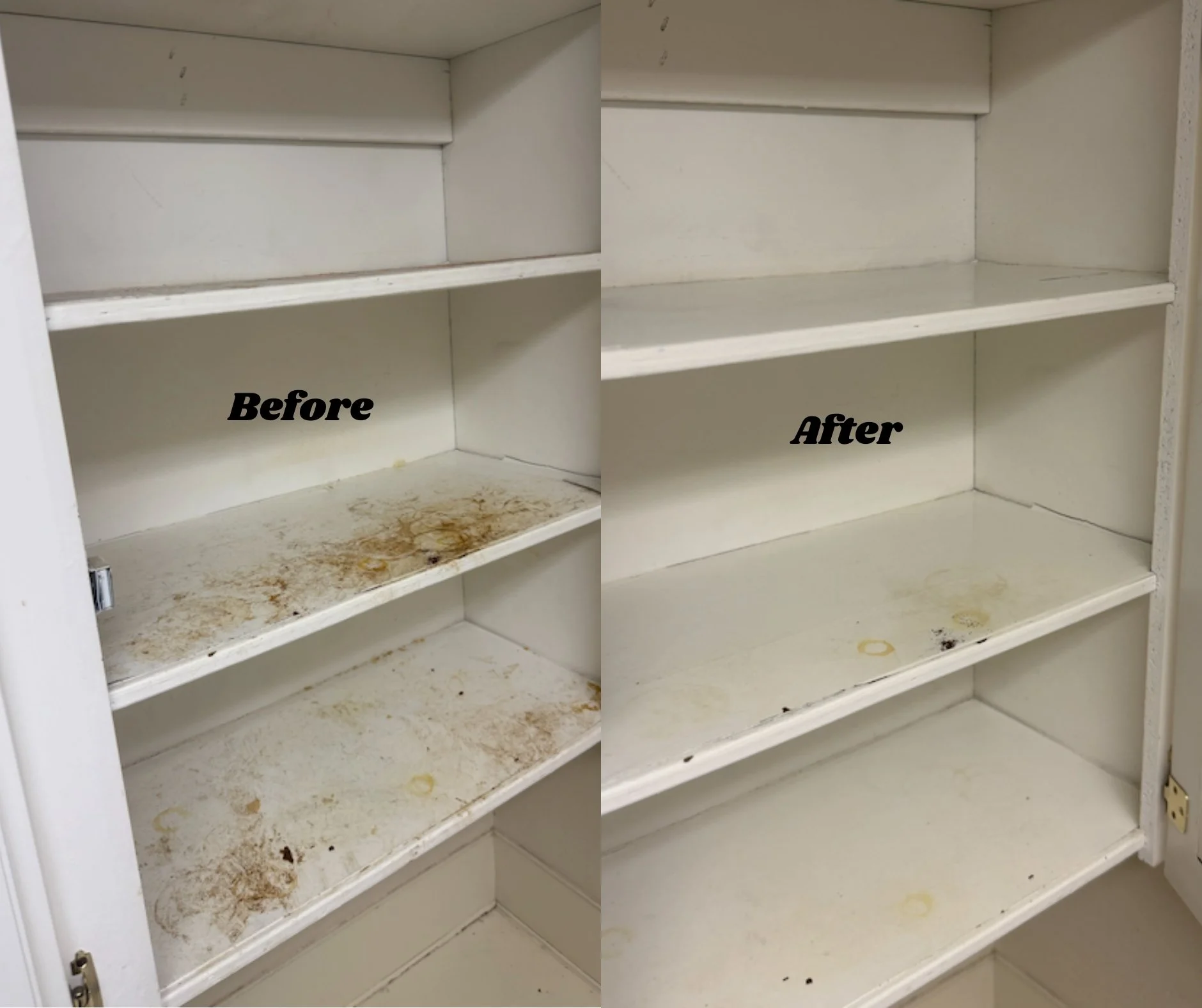 Residential and commercial cleaning services in Portland, Oregon City, Happy Valley, West Linn, Milwaukie, and Lake Oswego.