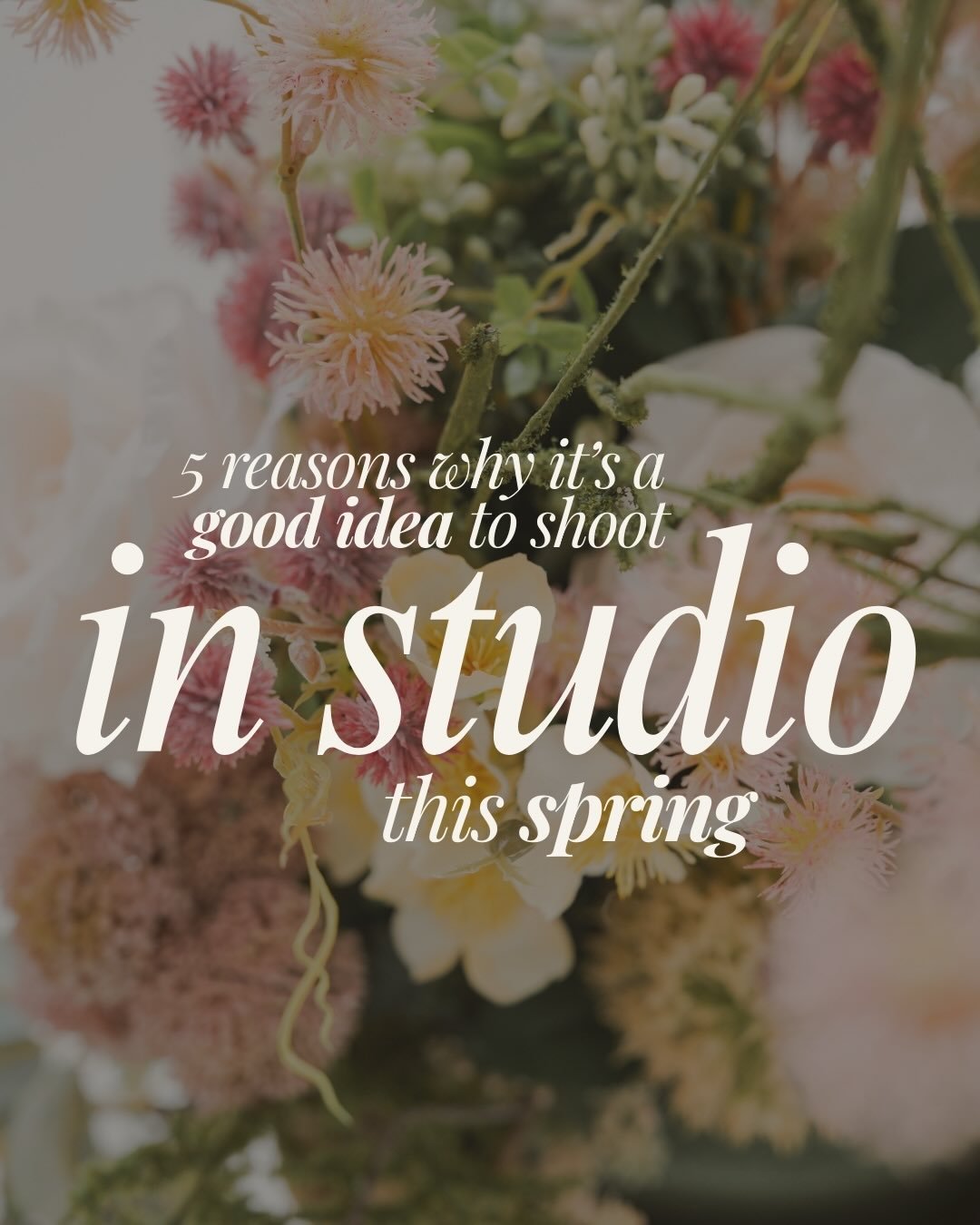 We&rsquo;re photographers too - we know how stressful it can be shooting outdoors in spring ➡️ Eliminate the stress and shoot indoors at our natural light studio.

In studio florals 💐now available for your session &mdash; book now to give your clien