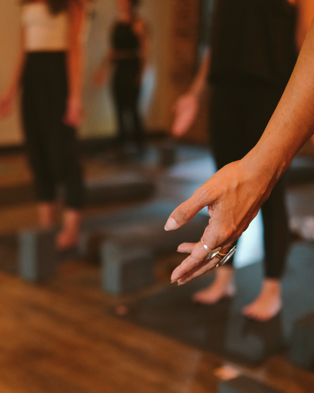 Breath as the Bridge | 40 Day Pranayama Sadhana 
