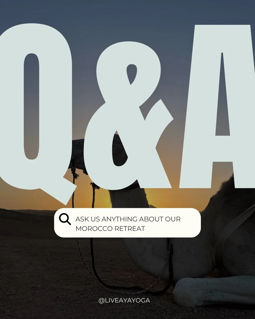 You had questions about our upcoming Morocco Retreat with Sarah Taylor, and we have answers 🌹 

➡️swipe through for all the details! 

Have more questions or ready to save your spot? Email us at programs@liveayayoga.com 💌