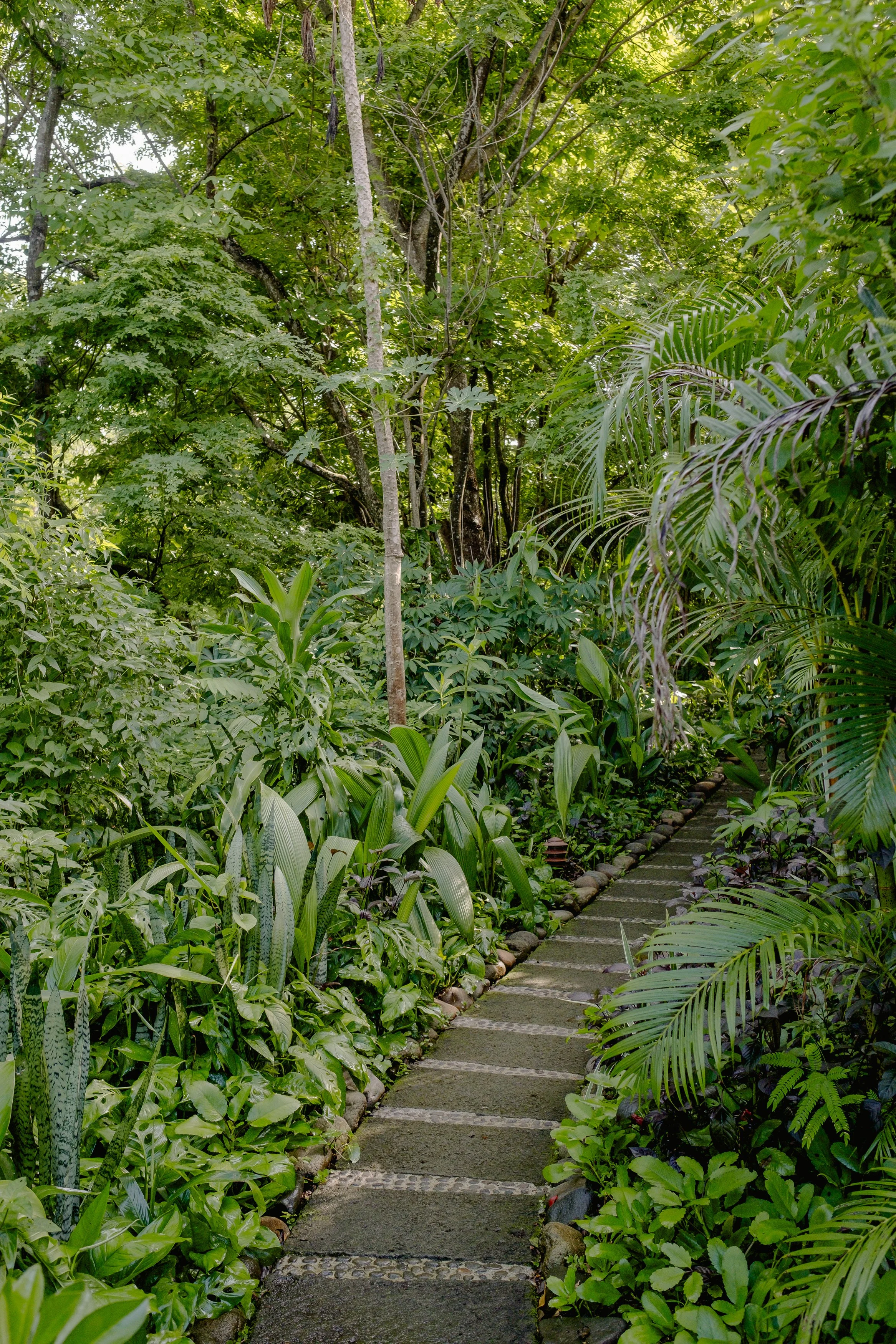GROUNDS 51.jpg