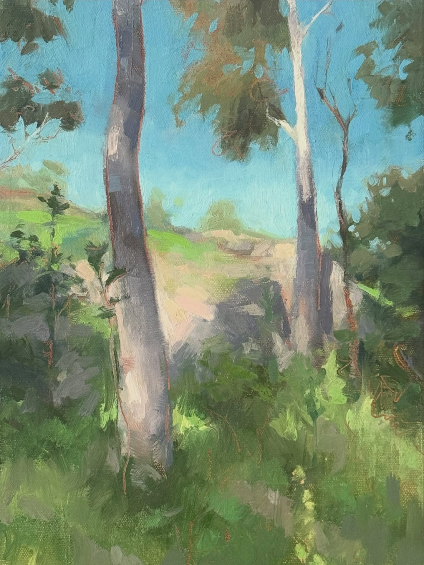 My new collection explores natural subjects through paint, making space for personal expression and a deeper engagement with light, surface and atmosphere. 
See the new body of work next week @melbflowershow.