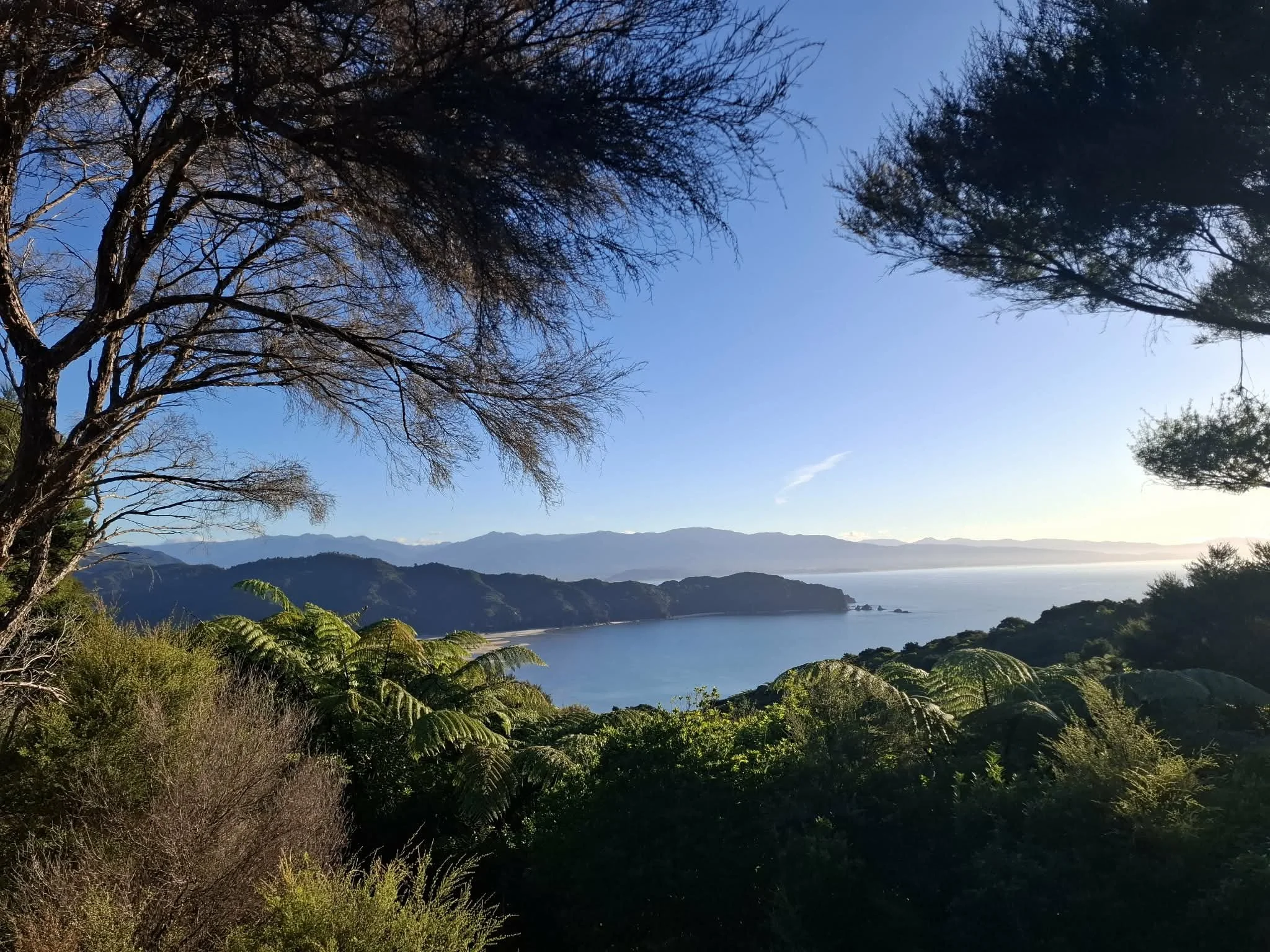 Supporting a loved one