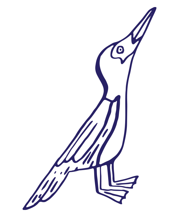 Dessin d'un oiseau stylisé en lignes bleues sur fond noir.