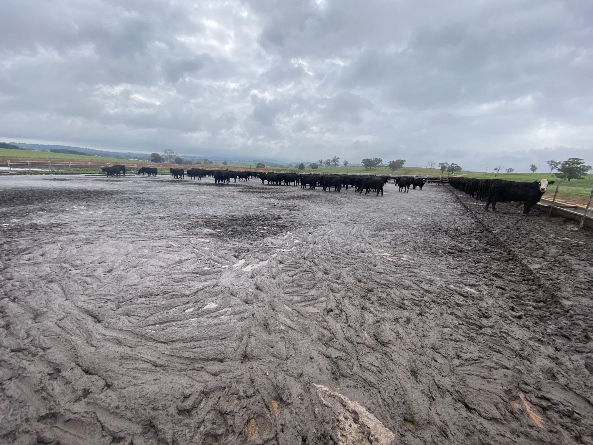 Agricultural and Industrial Projects