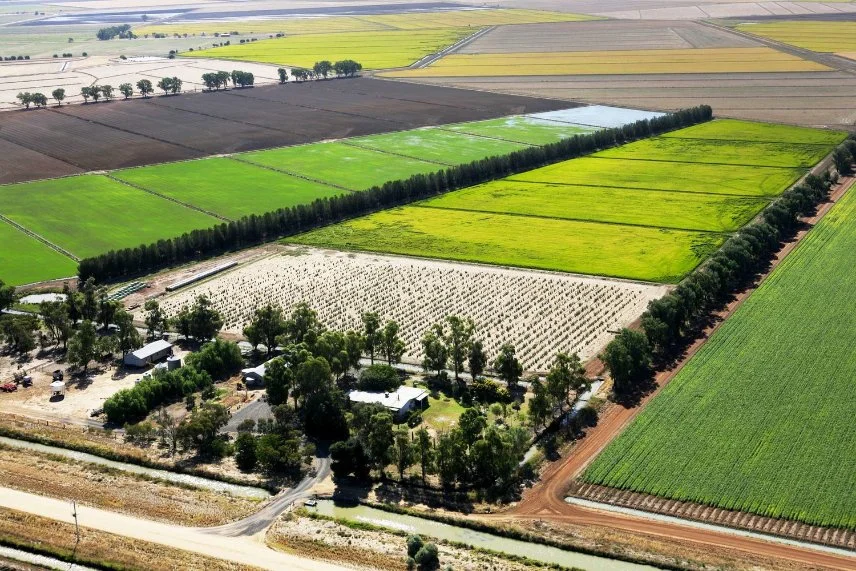 coleambally irrigation.jpg