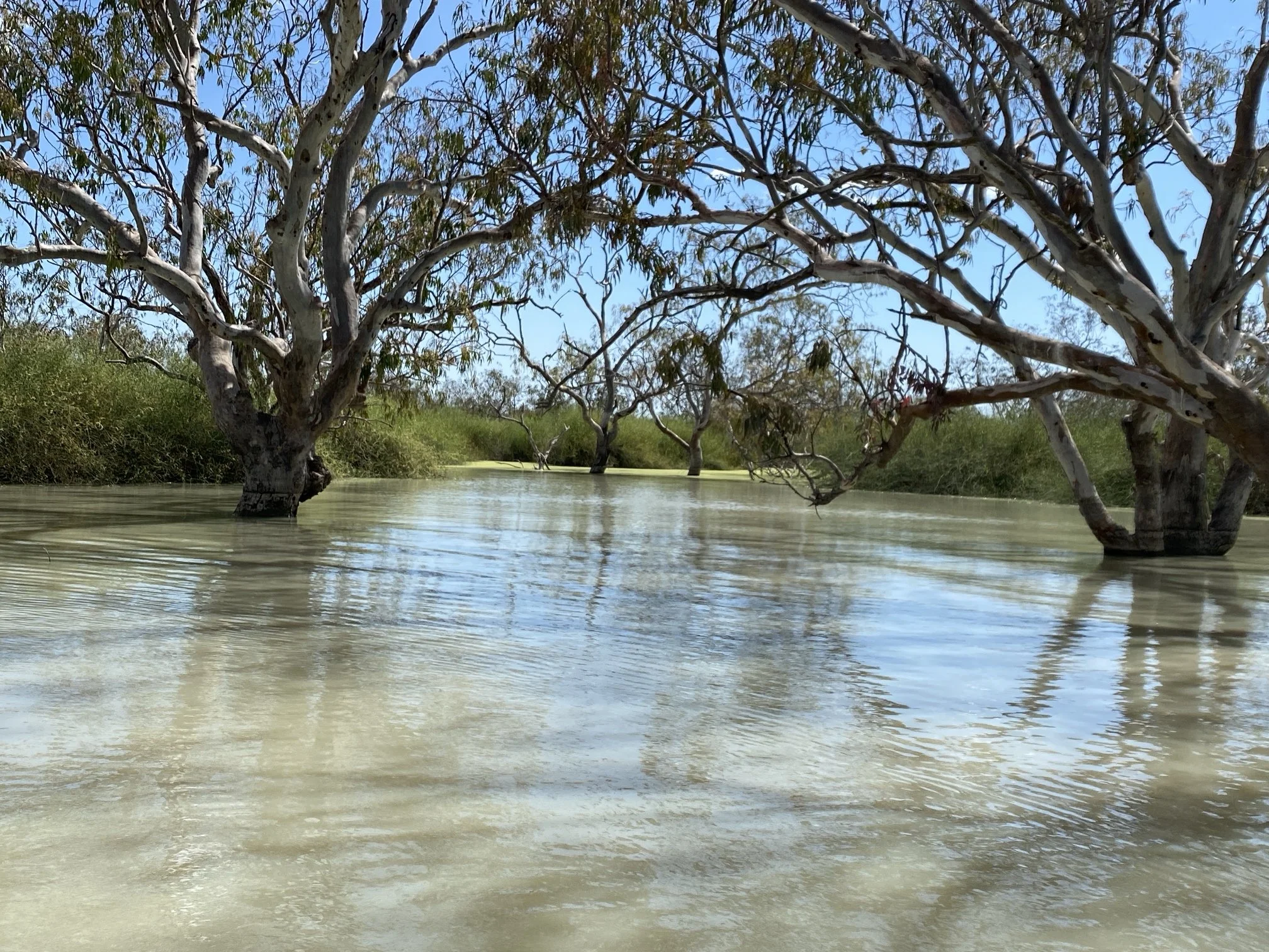 Lake-Cowalb.jpg