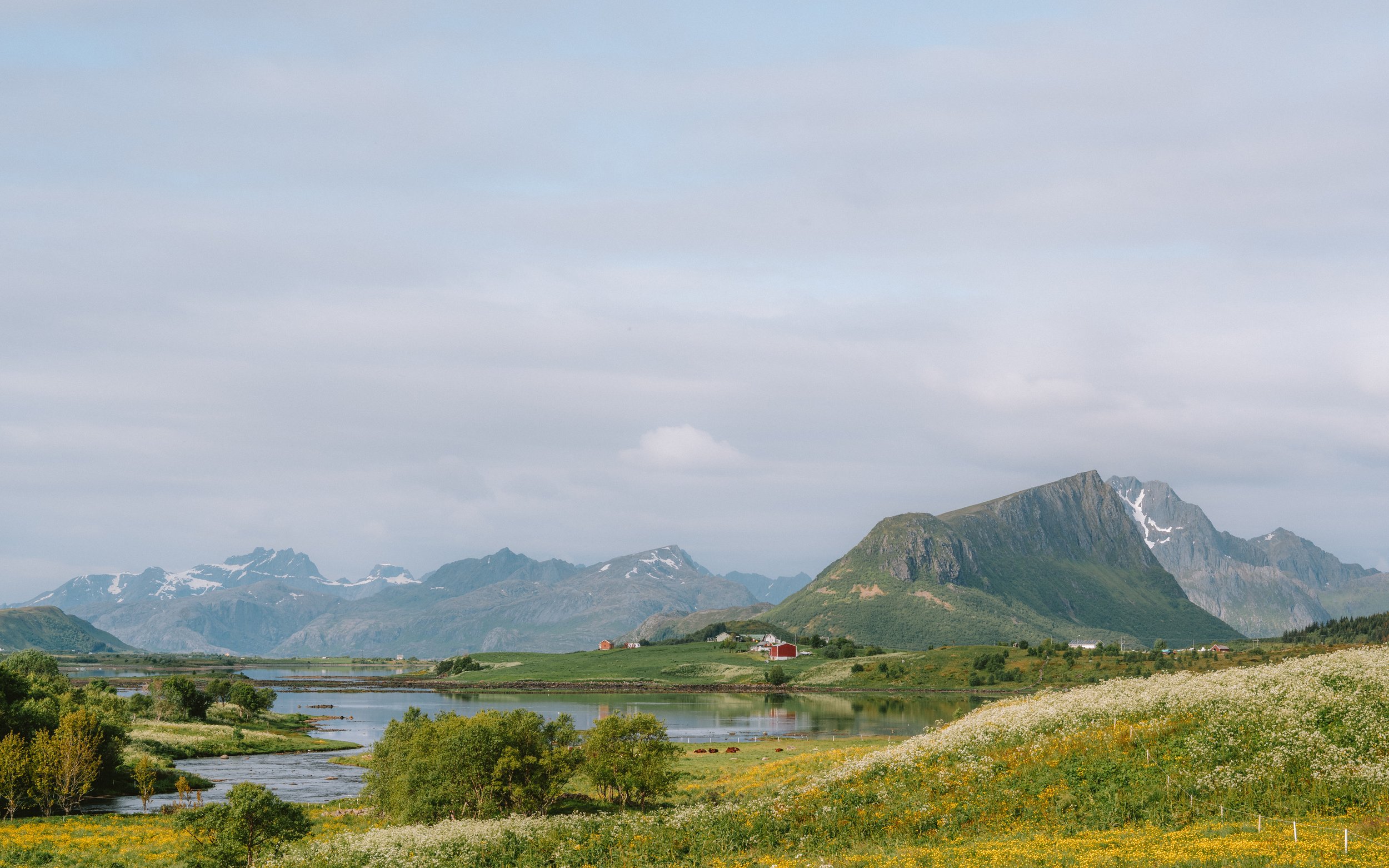 Scenic view of a river with grassy banks and wildflowers, green hills, and mountains in the background under a cloudy sky.