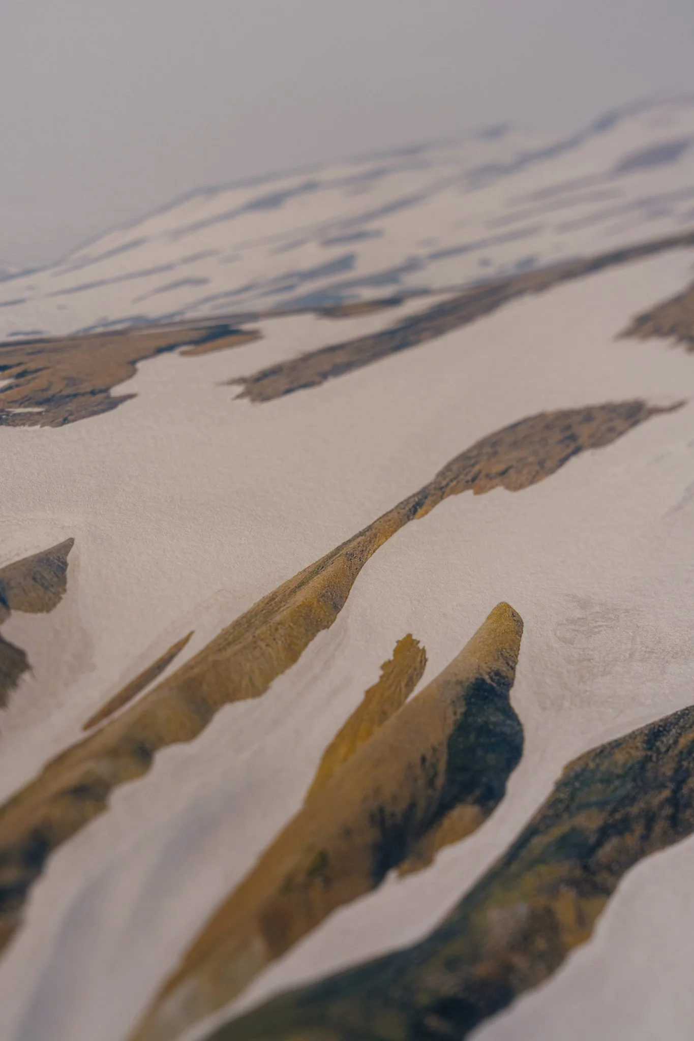 Fleeting Website-12.jpg