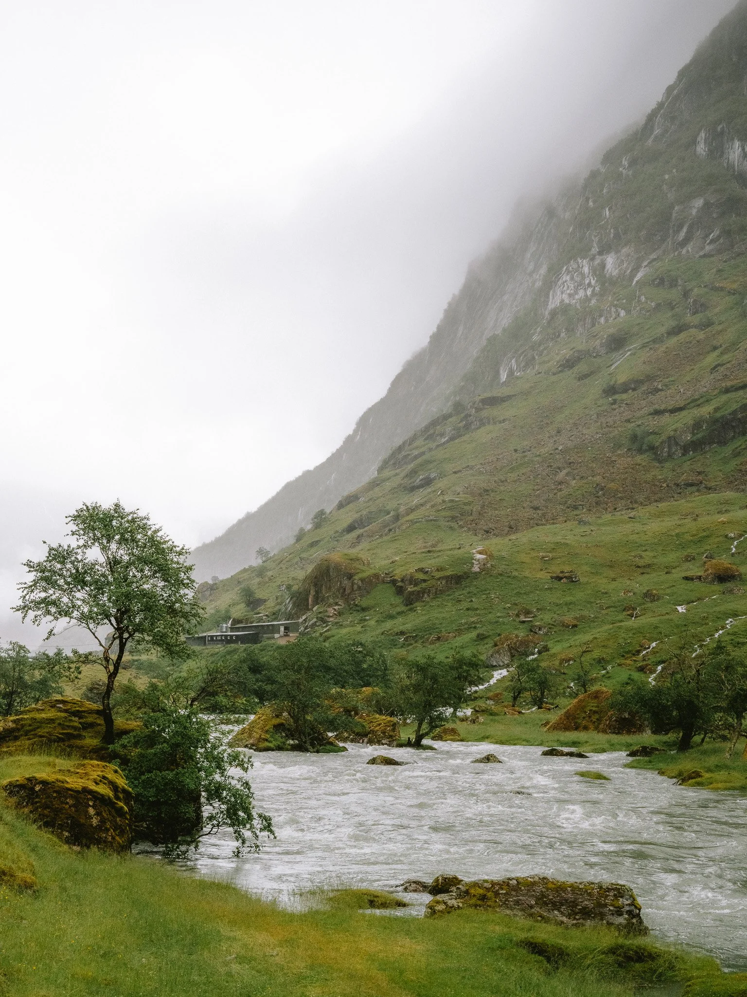 A misty mountain landscape with a rushing river, green trees, and grassy slopes.