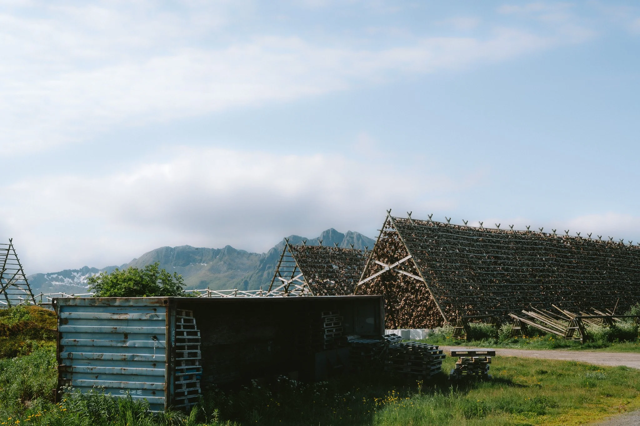 Solar panels on a hillside with mountains in the background and a blue sky with scattered clouds.